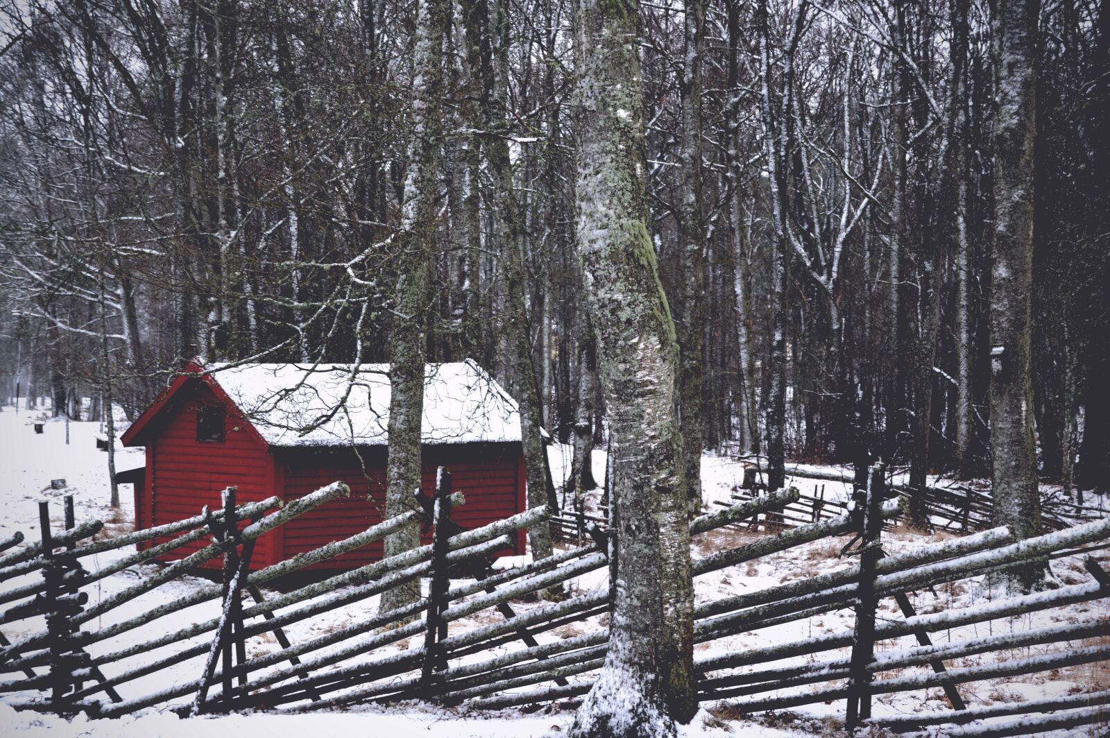 Nikon D3100 sample photo. Cabin, fence, forest, house photography