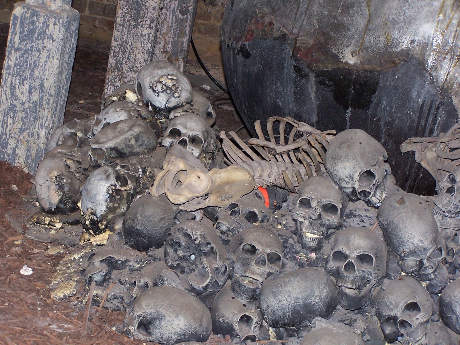 Kodak DX6490 ZOOM DIGITAL CAMERA sample photo. London, dungeon, skulls photography