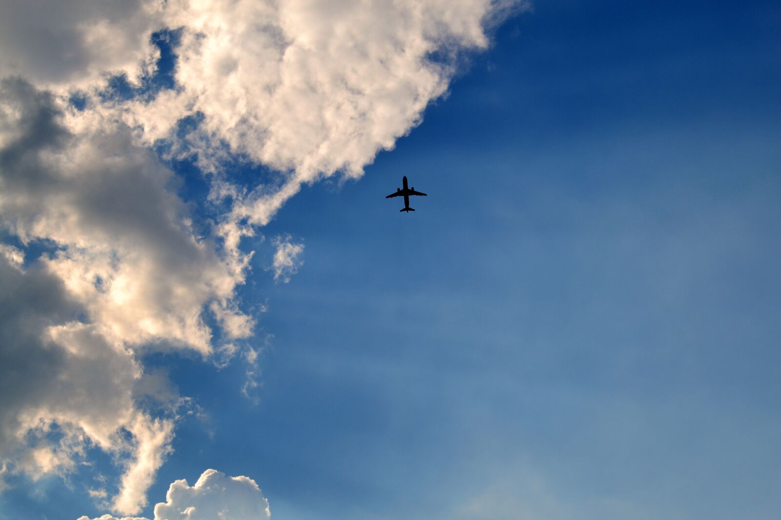 Nikon D3100 sample photo. Sky, the plane, flight photography