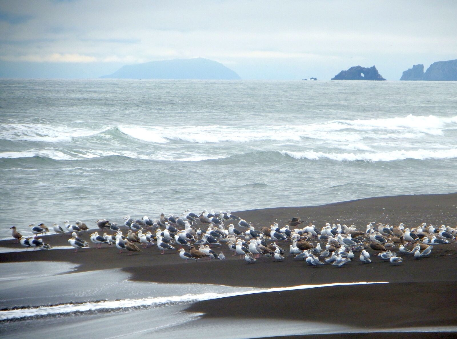 Fujifilm FinePix S1 sample photo. The pacific ocean, wave photography