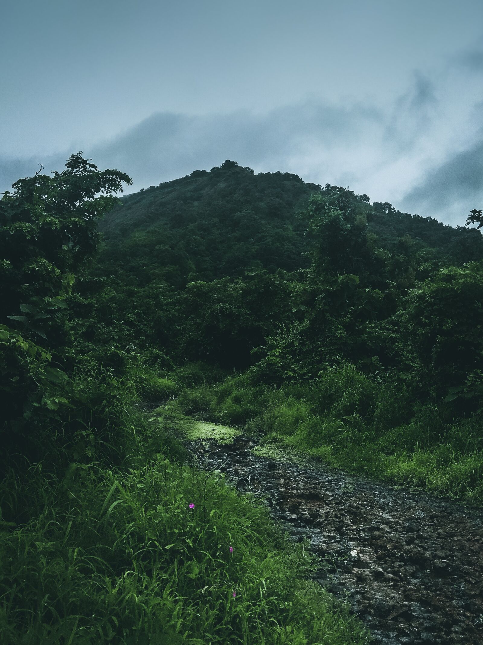 Xiaomi Redmi Note 4 sample photo. Mountain, mountains, nature photography