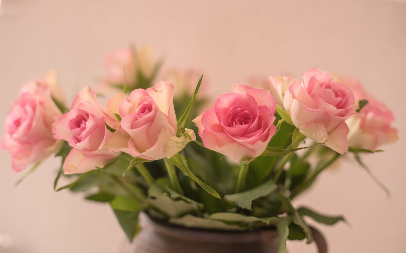 Canon EOS 6D Mark II sample photo. Romantic, blossom, bloom photography