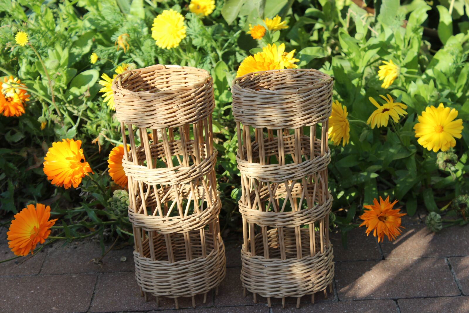 Canon EOS 600D (Rebel EOS T3i / EOS Kiss X5) sample photo. Autumn, abendstimmung, baskets photography
