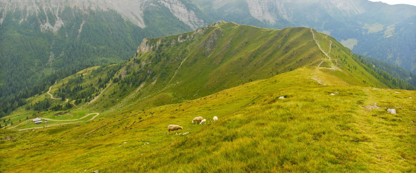 Nikon D80 sample photo. Mountains, goldeck, carinthia photography