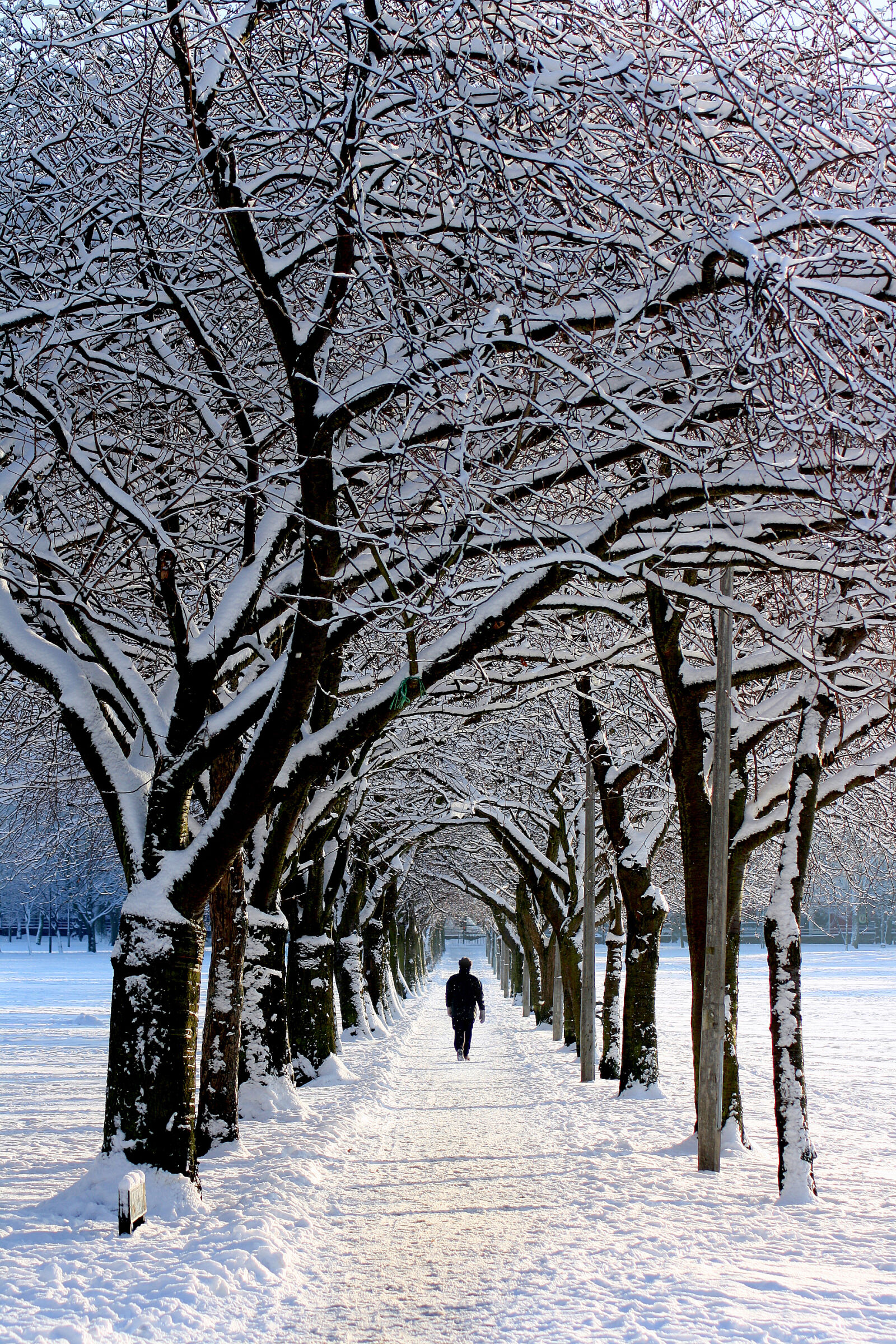 Canon EOS 1000D (EOS Digital Rebel XS / EOS Kiss F) sample photo. Snow, nature, person, walking photography
