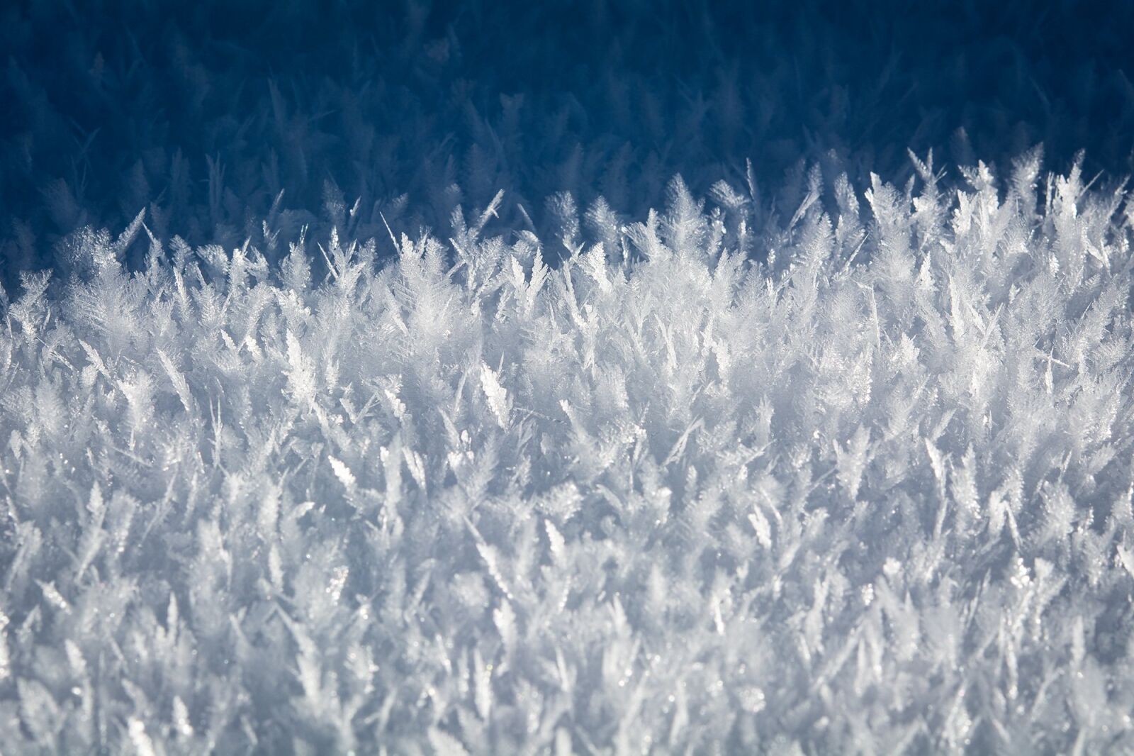 Nikon D7100 sample photo. Ice, eiskristalle, frozen photography