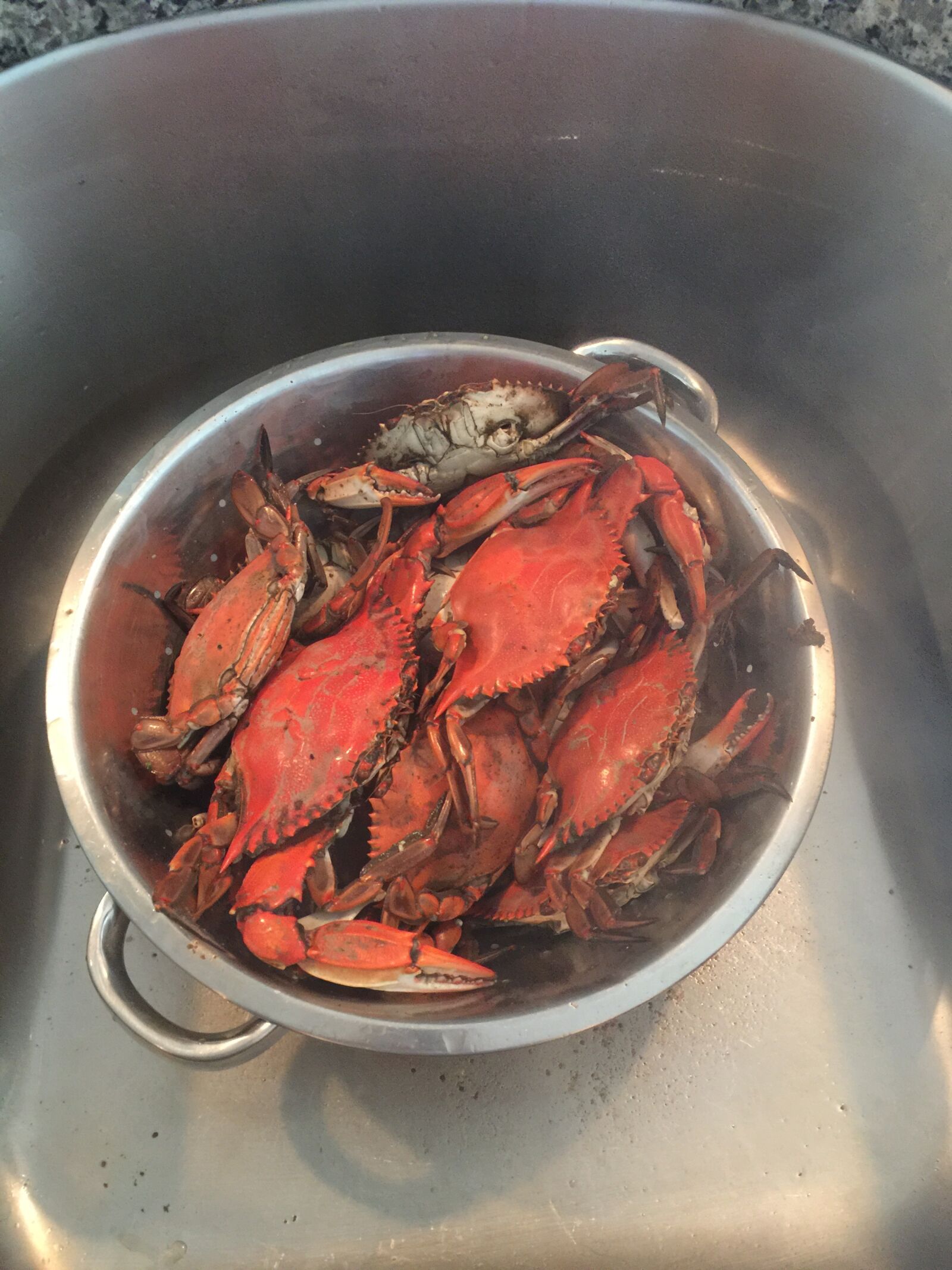 iPhone 6 Plus back camera 4.15mm f/2.2 sample photo. Crabs, crabbing, crab photography