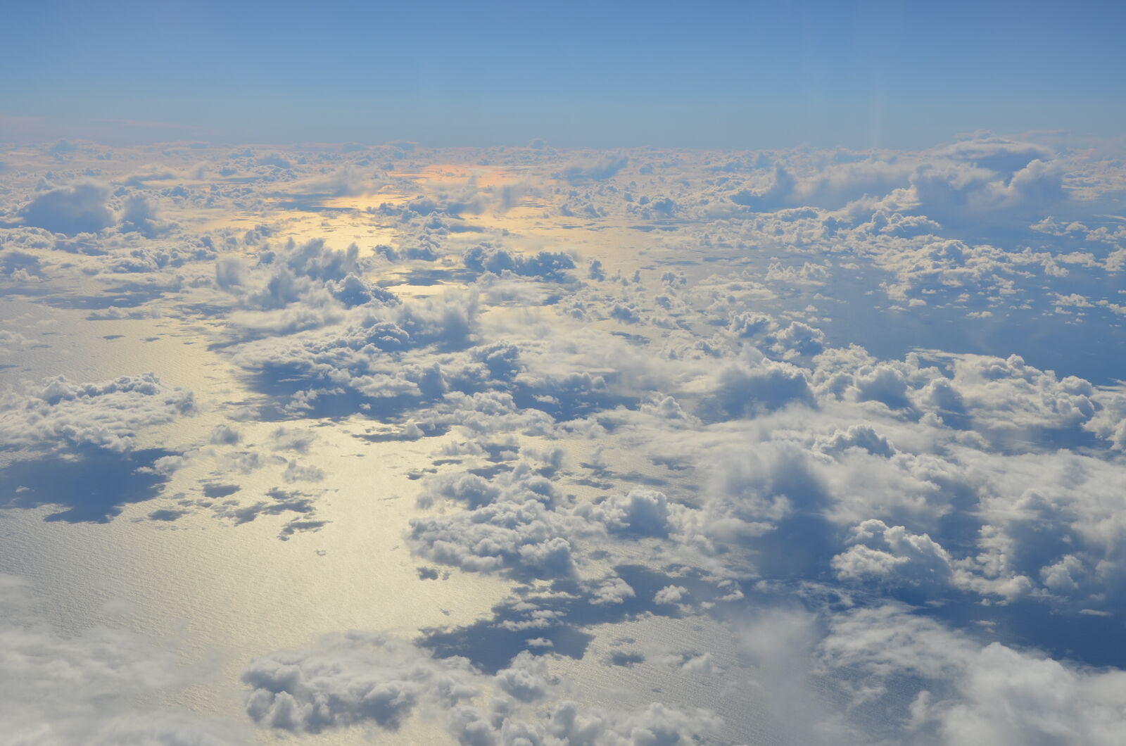 Nikon D5100 sample photo