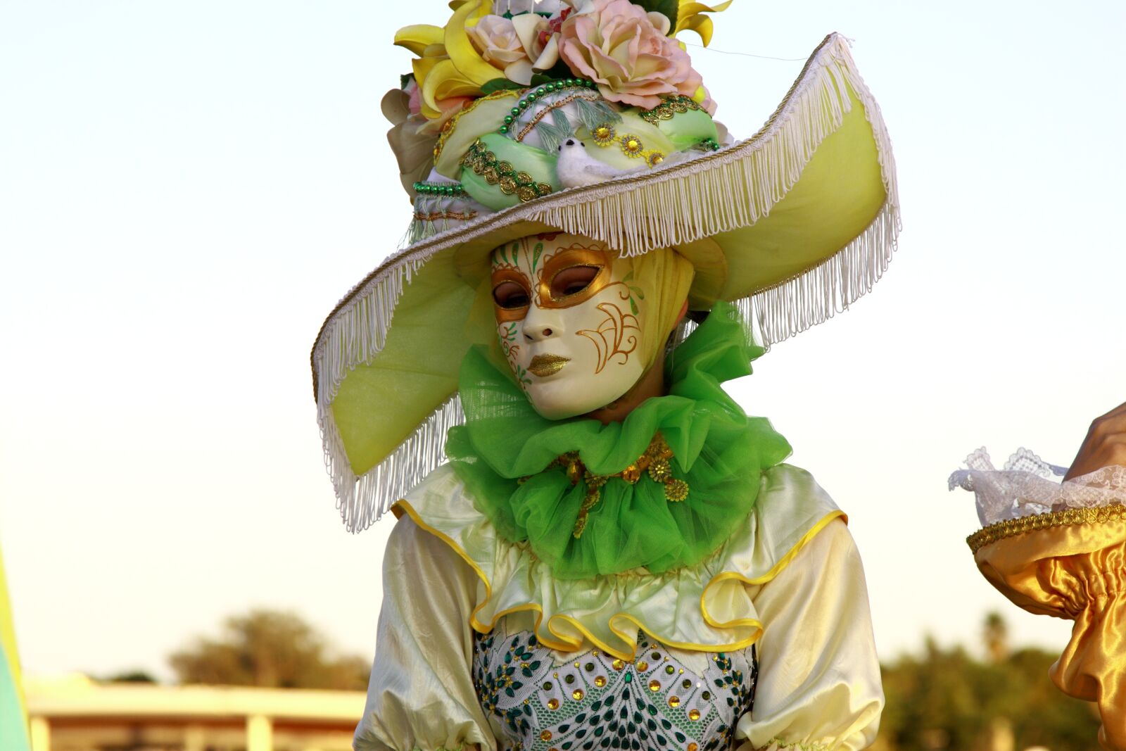 Canon EOS 50D sample photo. Hat, costume, woman photography