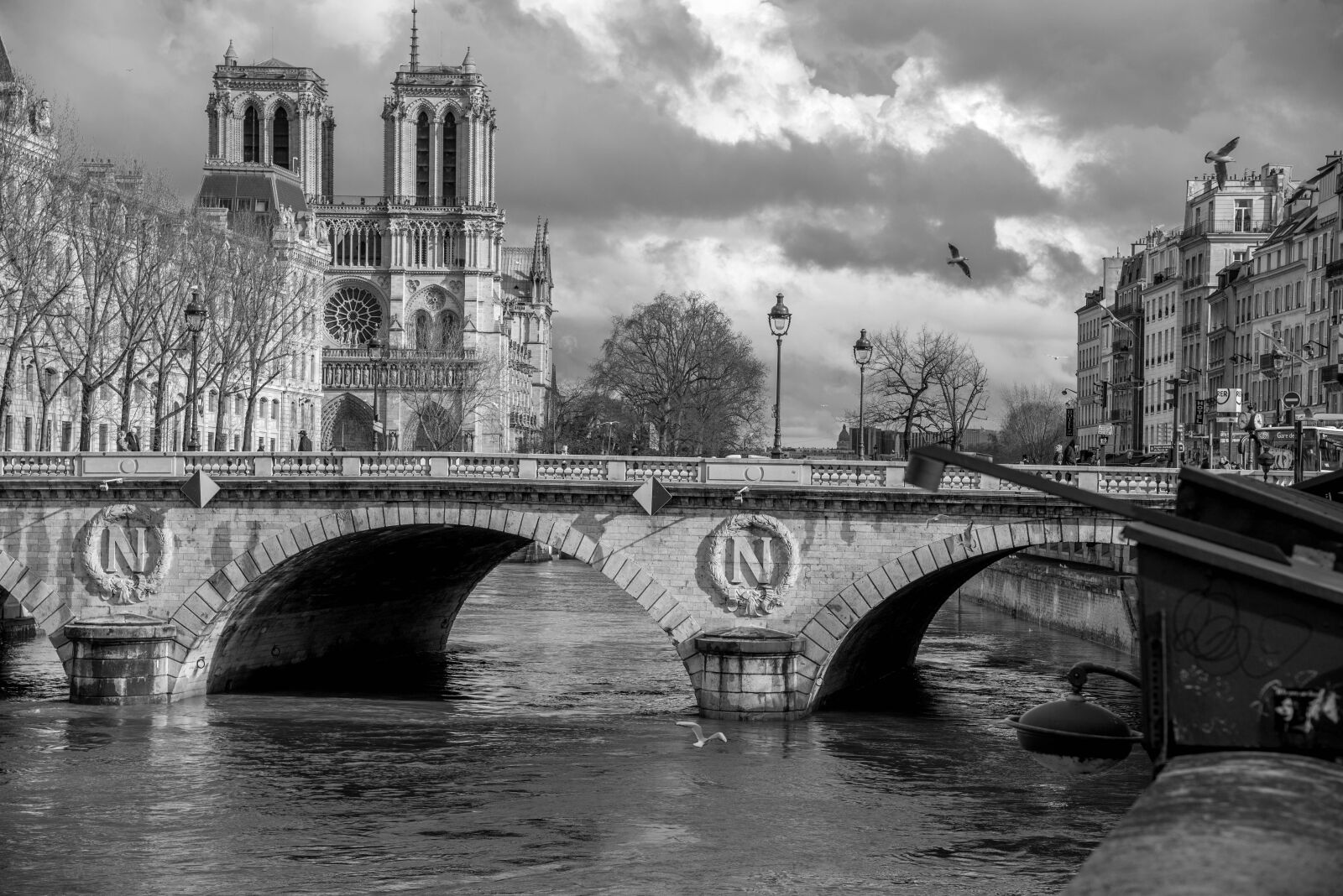 Nikon D600 sample photo. Seine, paris, cathedral photography