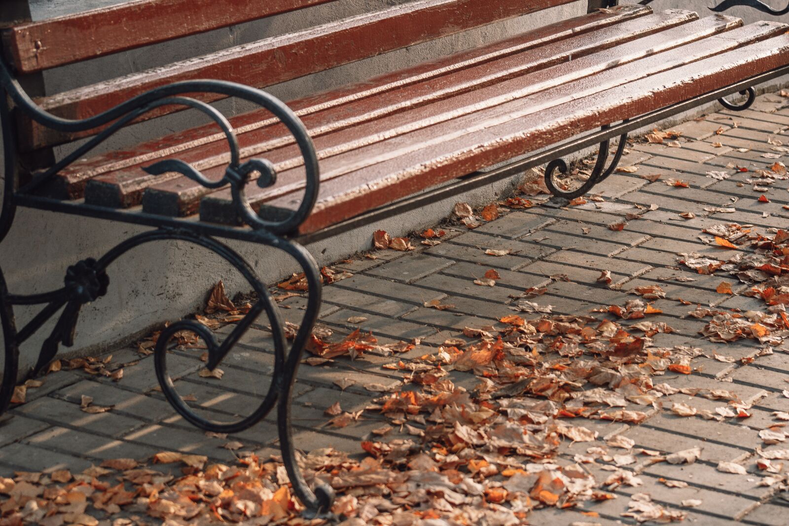 Canon EF75-300mm f/4-5.6 sample photo. Autumn, leaves, nature photography