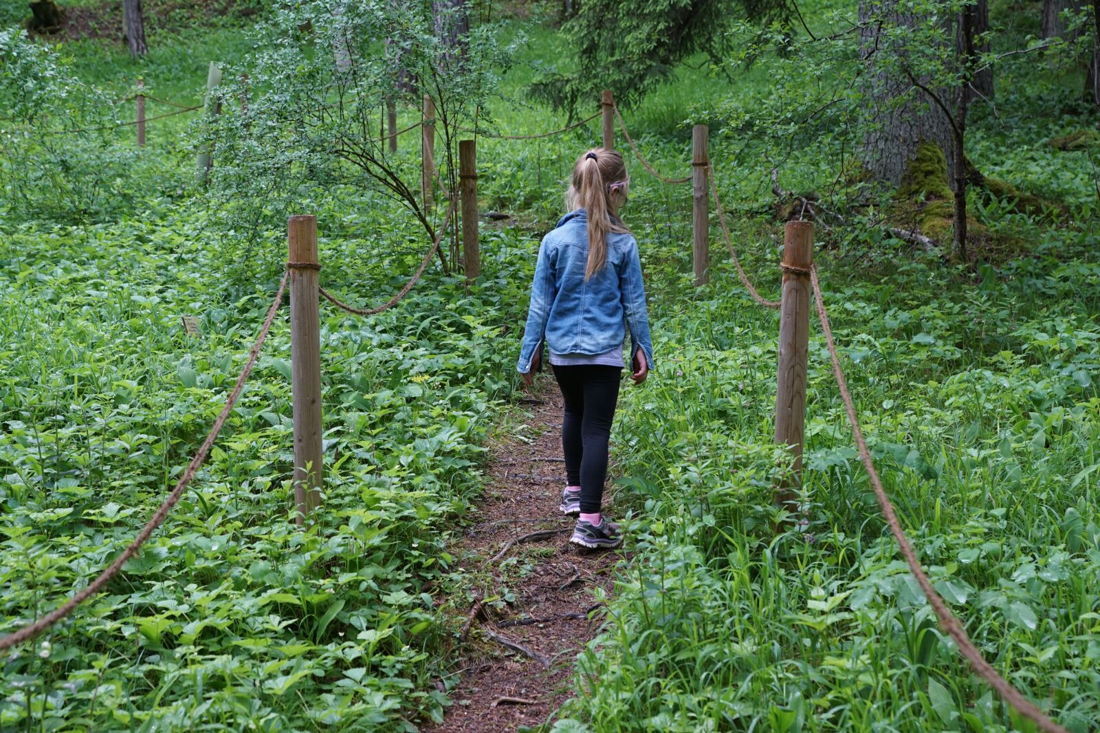 Sony ILCA-77M2 sample photo. Girl, garden, away photography