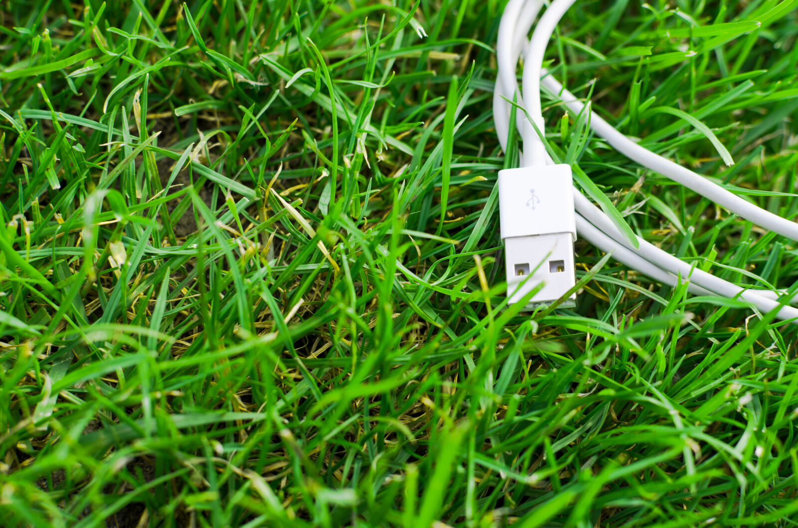 Nikon D5100 + Nikon AF-S DX Nikkor 35mm F1.8G sample photo. Alternative, bioenergy, business, cable photography