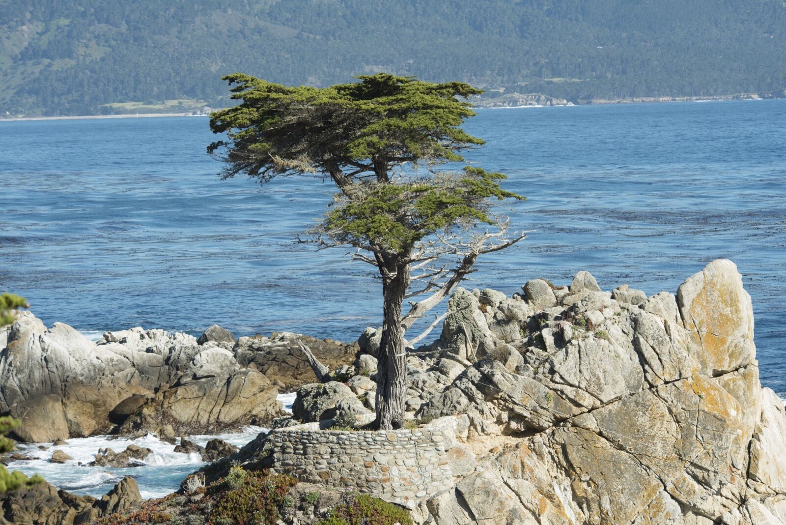 Nikon D800 sample photo. Pebble beach, shoreline, california photography