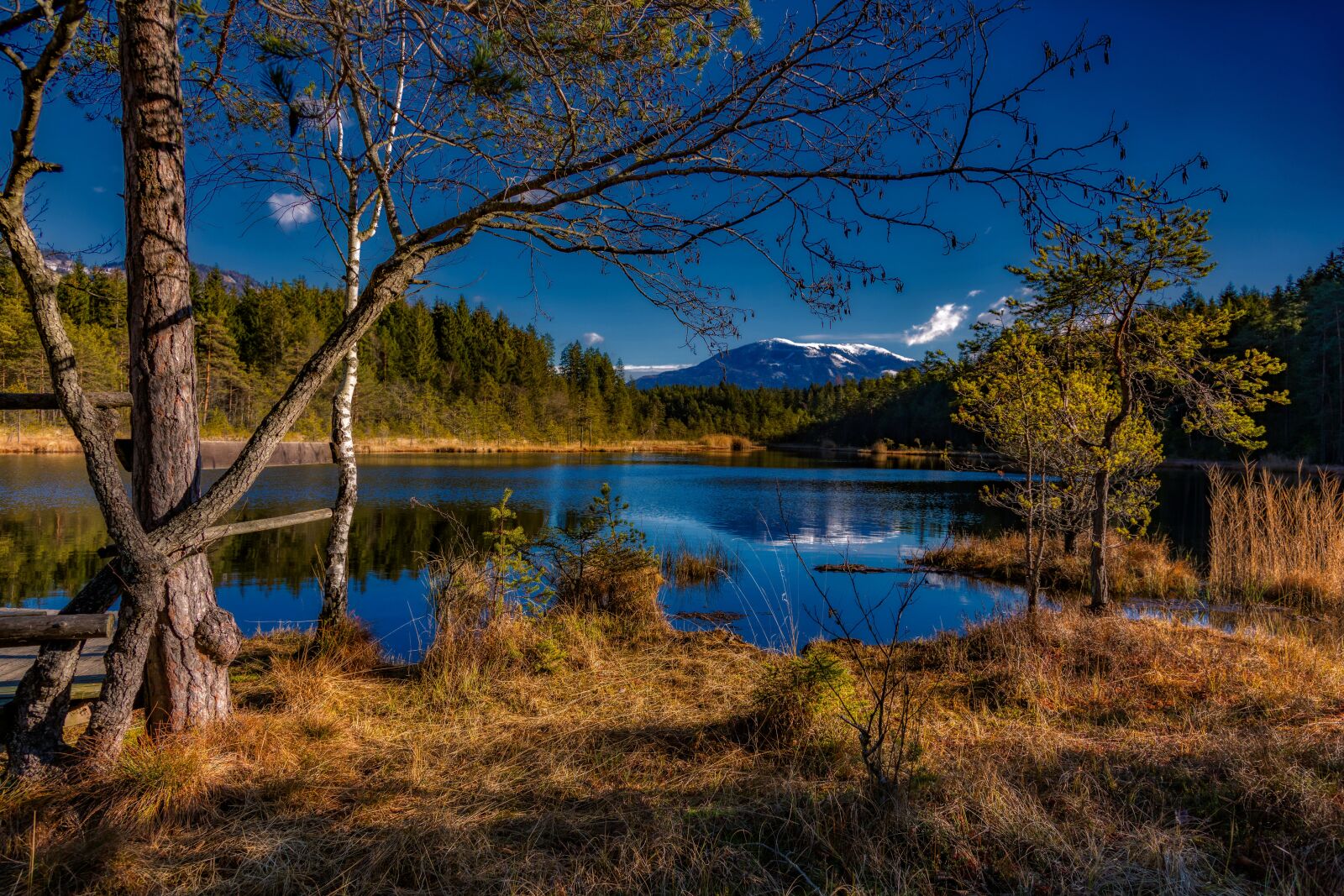 Canon EOS 5D Mark IV sample photo. Autumn, relax, nature photography