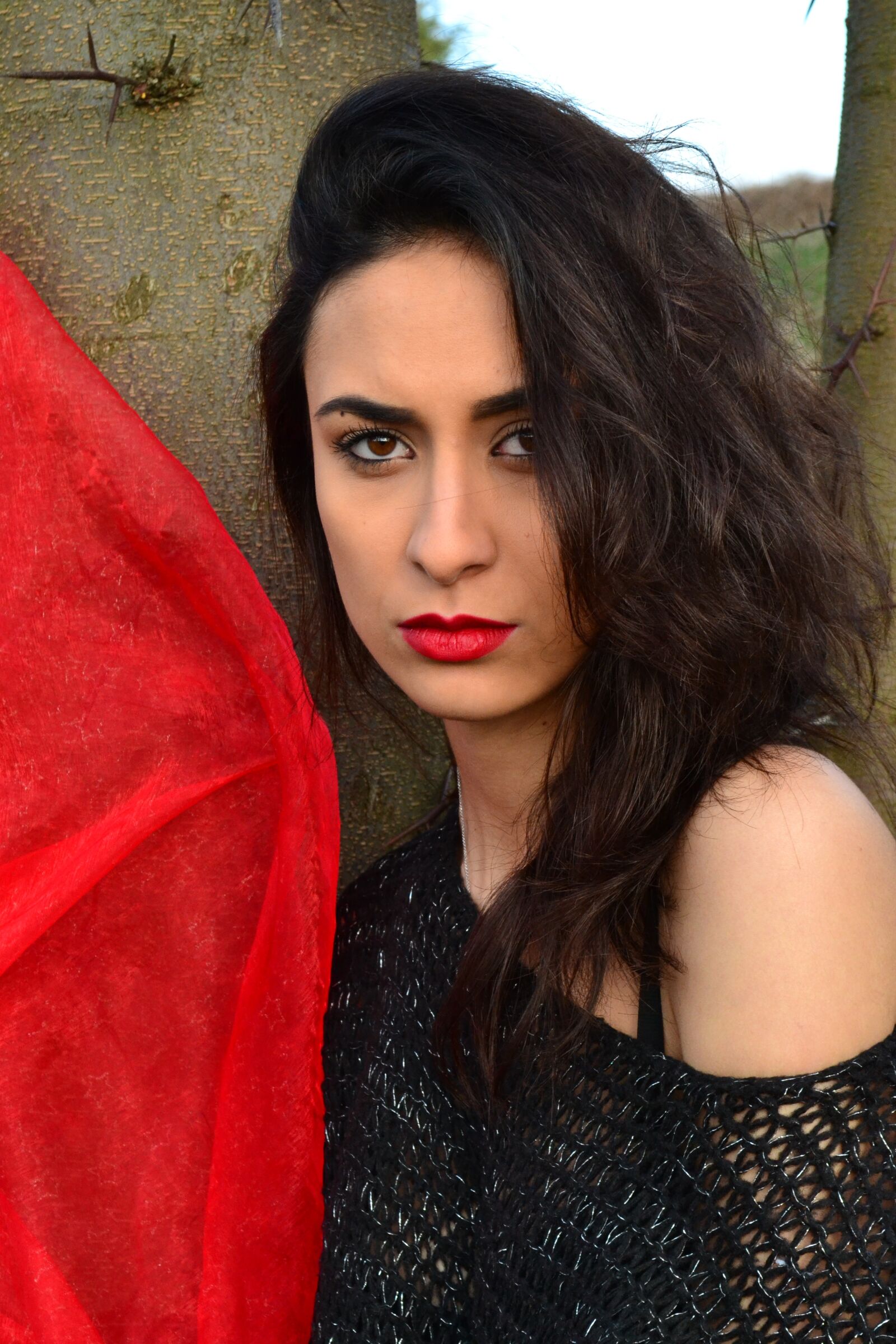 Nikon D3100 sample photo. Girl, red, lips photography