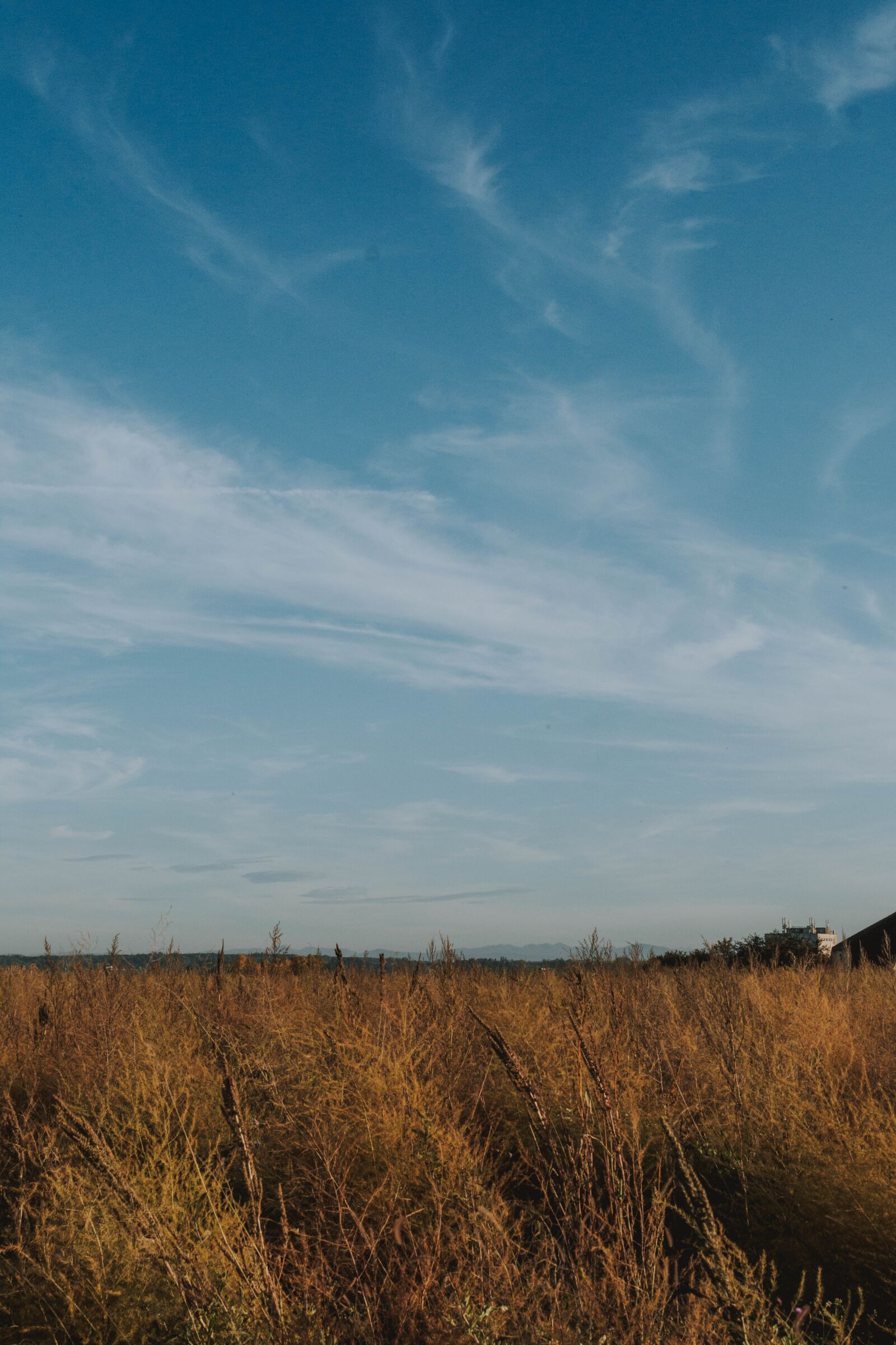 Nikon D5200 sample photo. Field, sky, landscape photography