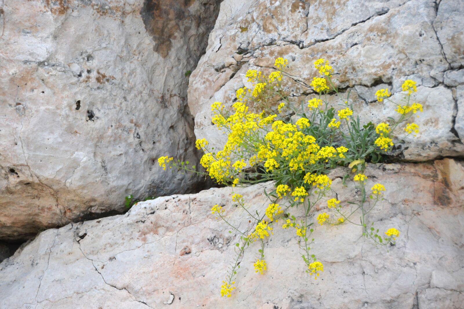 Nikon D5100 sample photo. Nature, stone, rock photography