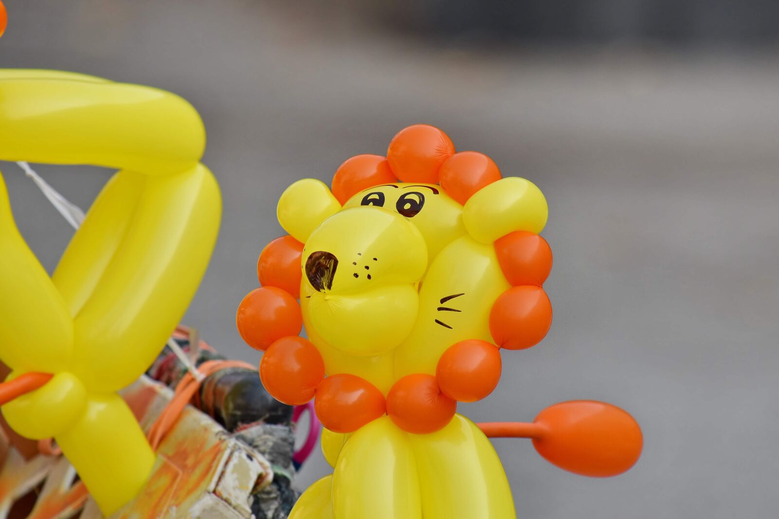 Nikon D5500 sample photo. Balloon, helium, lion, toys photography