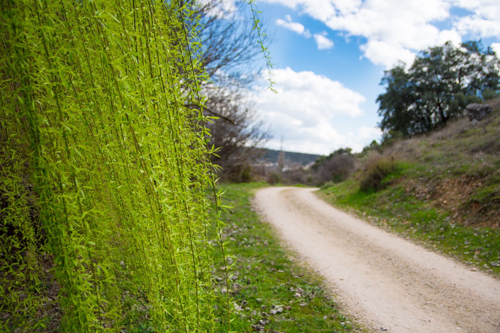 Nikon D7200 sample photo. Hiking, nature, spain photography