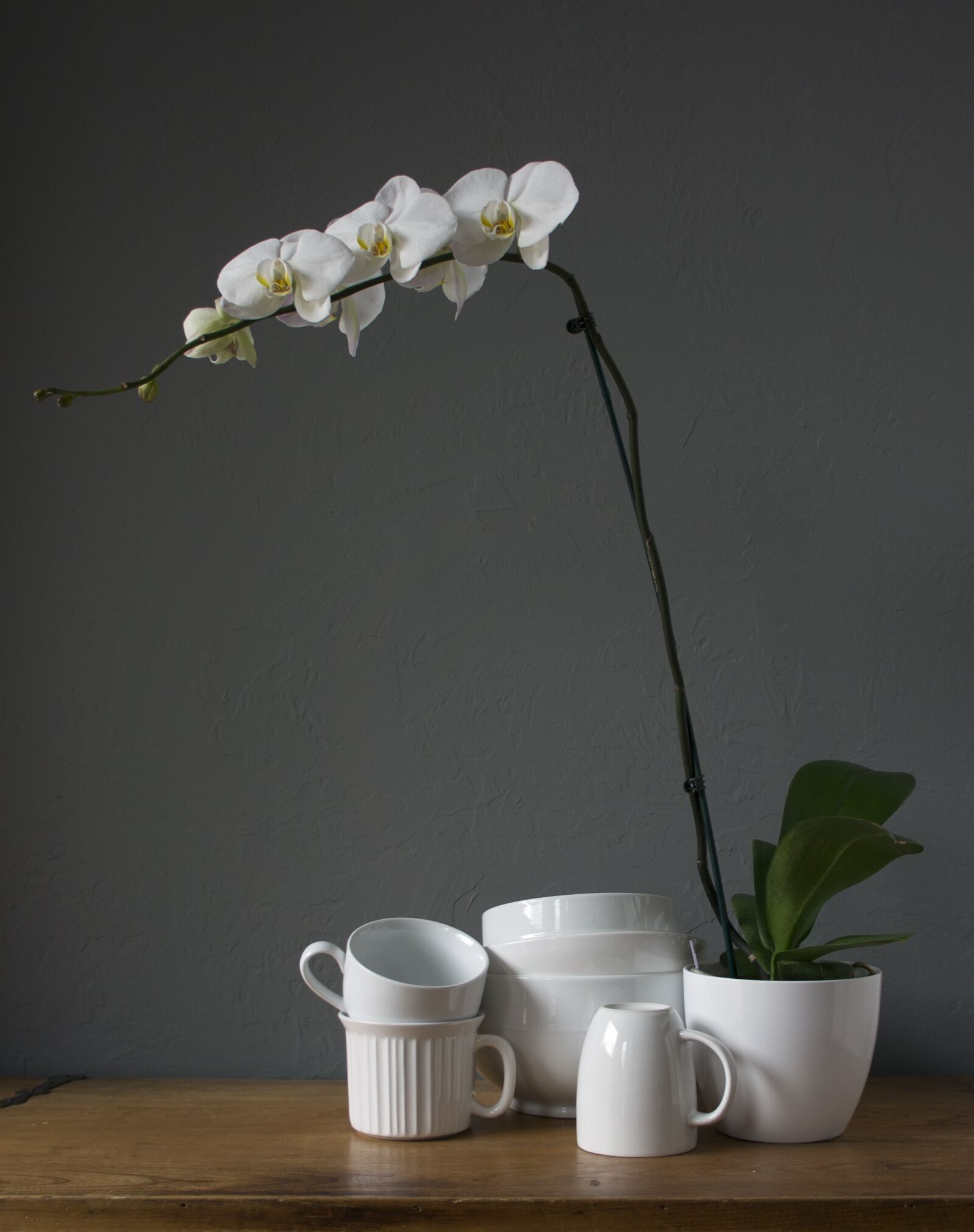 Sony Alpha NEX-5N sample photo. Orchids, cups, white photography