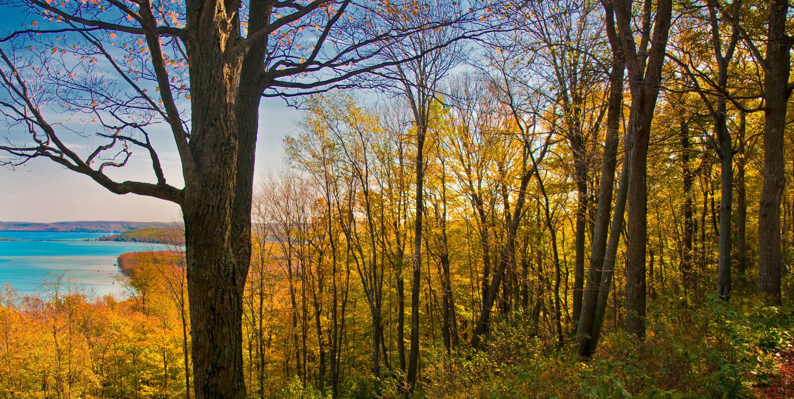 Nikon D300 sample photo. Fall, autumn, trees photography