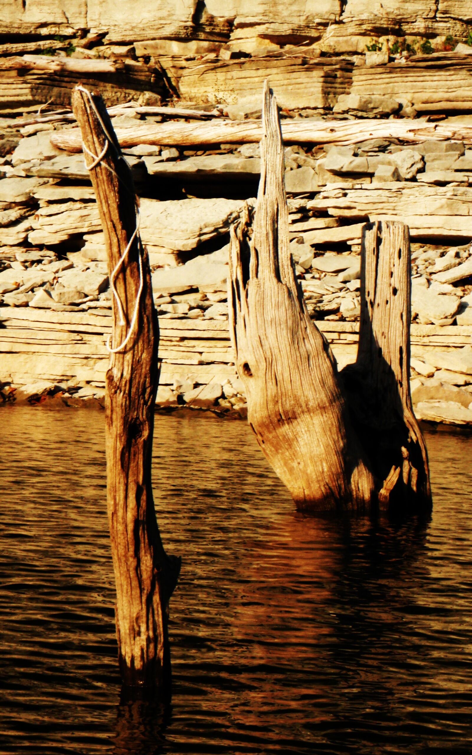 Olympus u790SW,S790SW sample photo. Quarry, stump, water photography