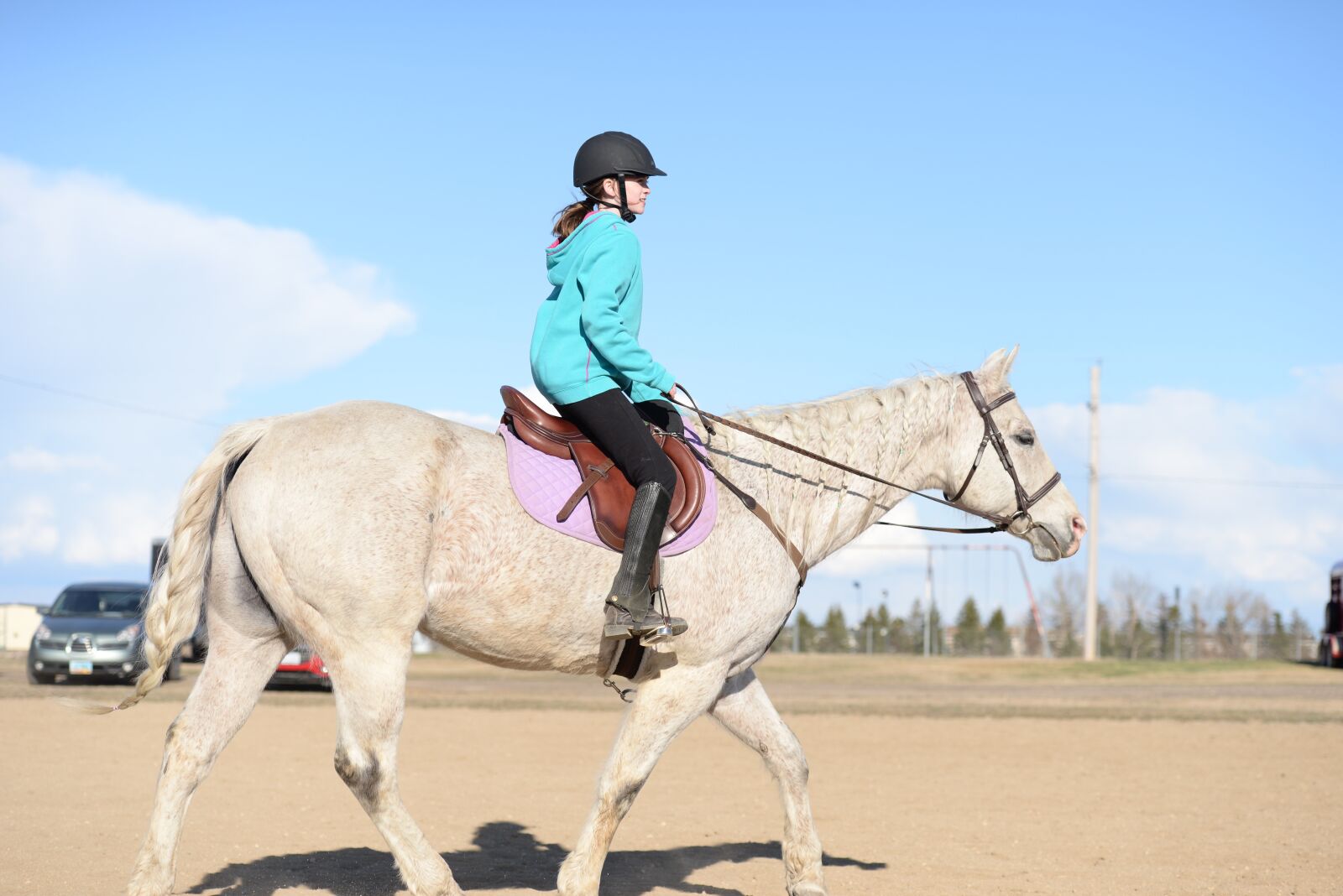 Nikon D610 sample photo. Stables, horse, farm photography