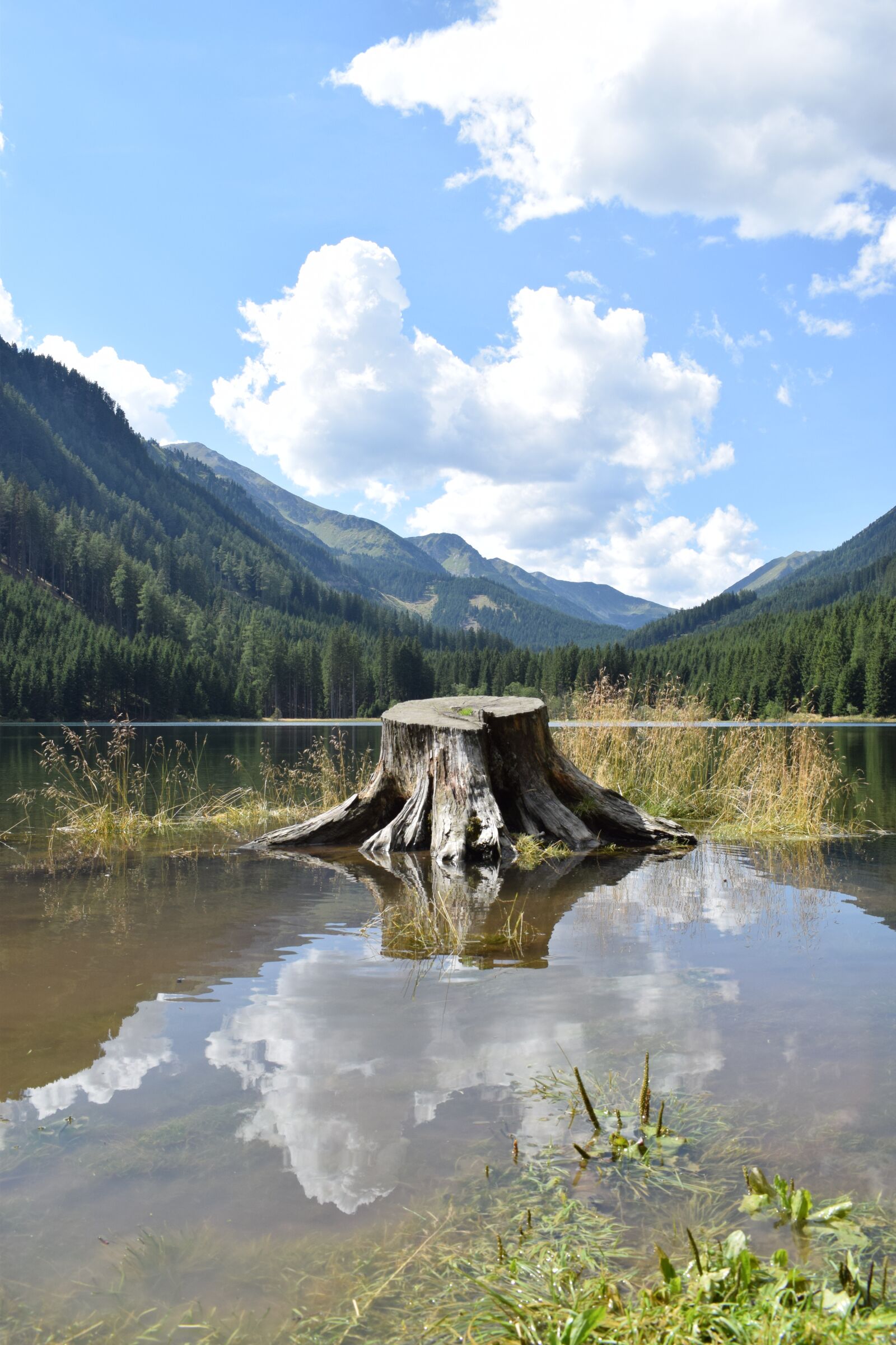 Nikon D3300 sample photo. Tree, landscape, clouds photography