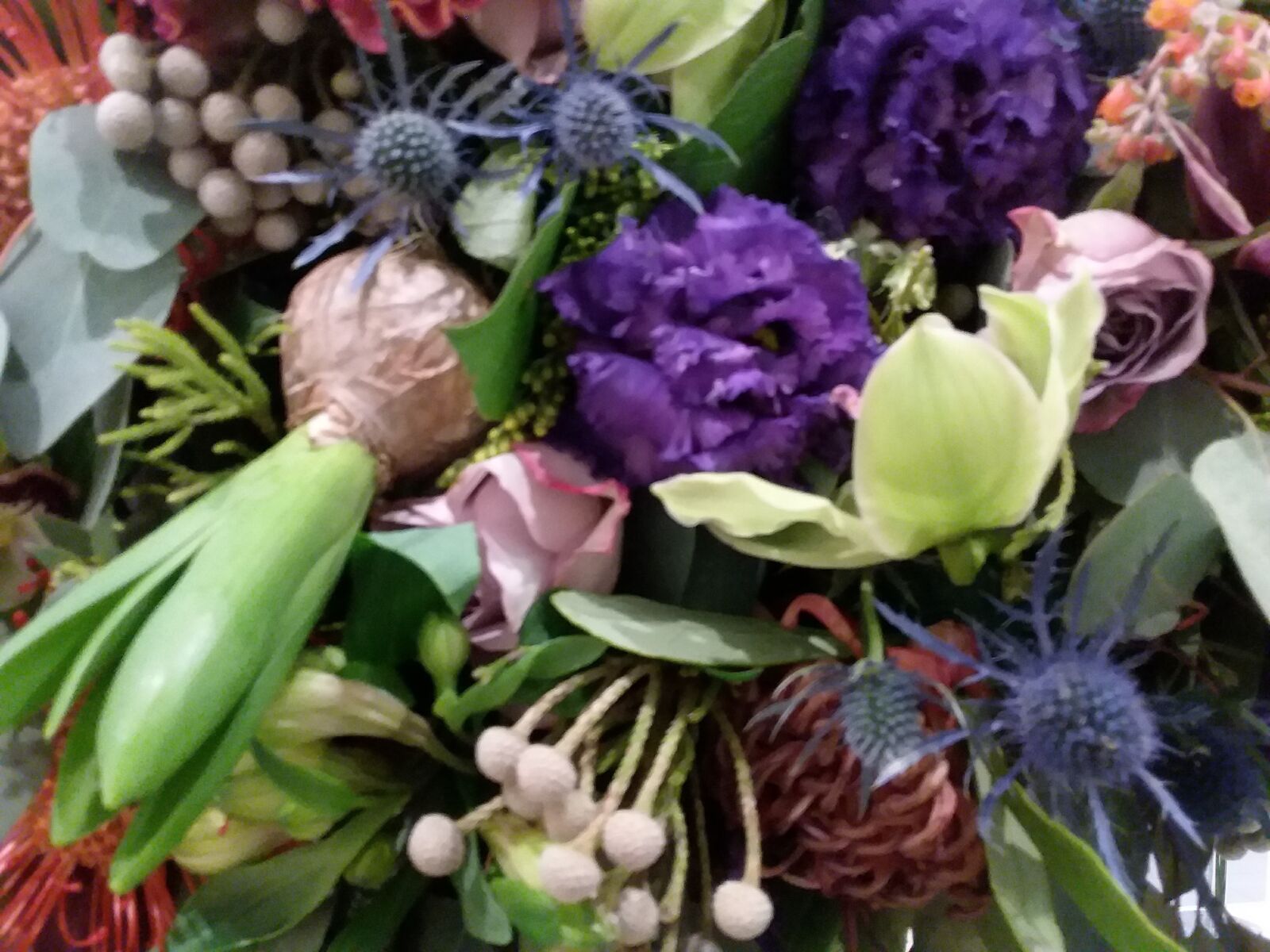 Samsung Galaxy J3(2016) sample photo. Beautiful, flowers photography