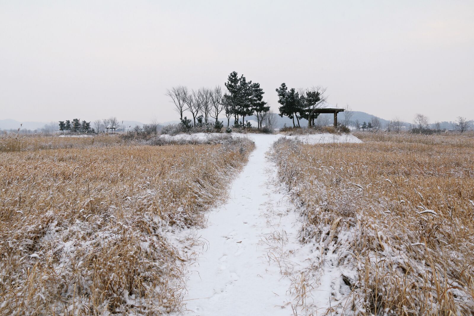 Canon EF-S 18-200mm F3.5-5.6 IS sample photo. Nature, scenery, s photography