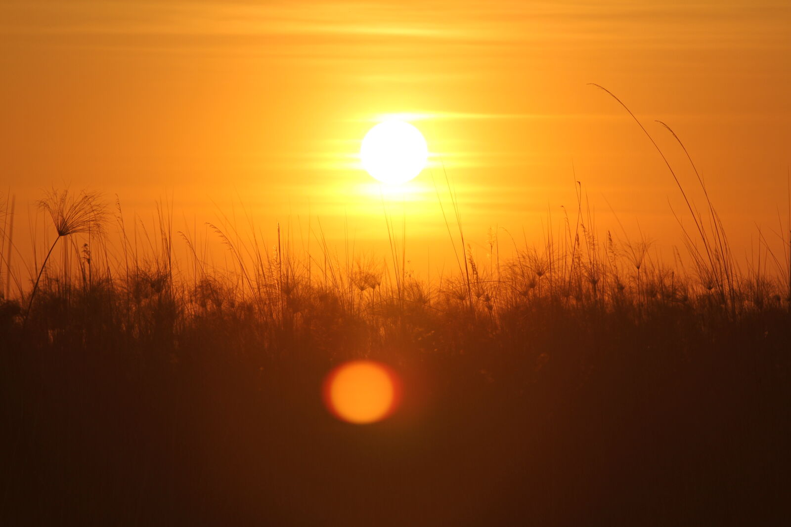 Canon EOS 7D sample photo. Sunset, botswana, okawango, delta photography