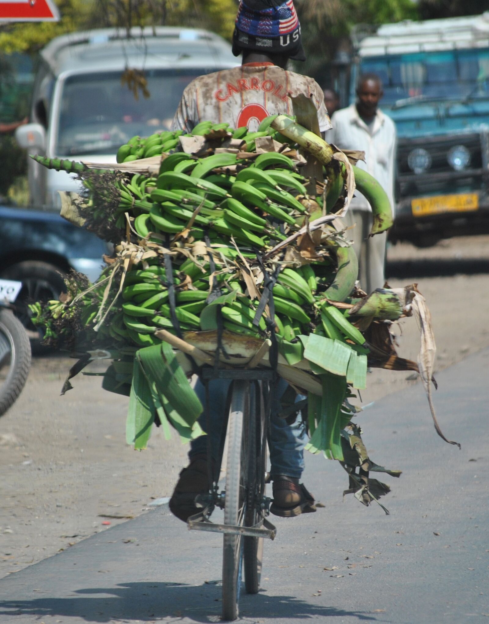Nikon D3000 sample photo. Africa, tanzania, bananas photography