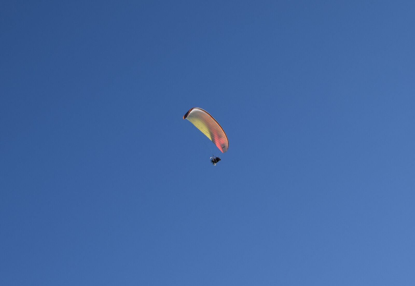 Nikon D3300 sample photo. Paraglider, activity, sport photography