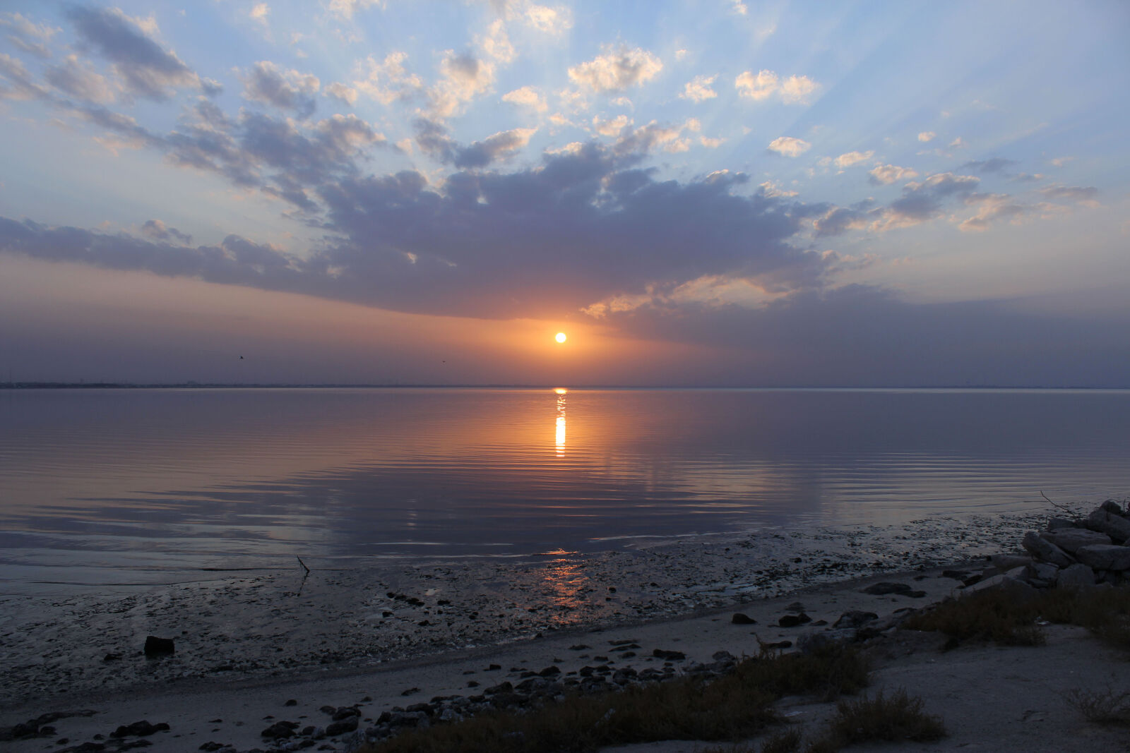 Canon EOS 60D sample photo