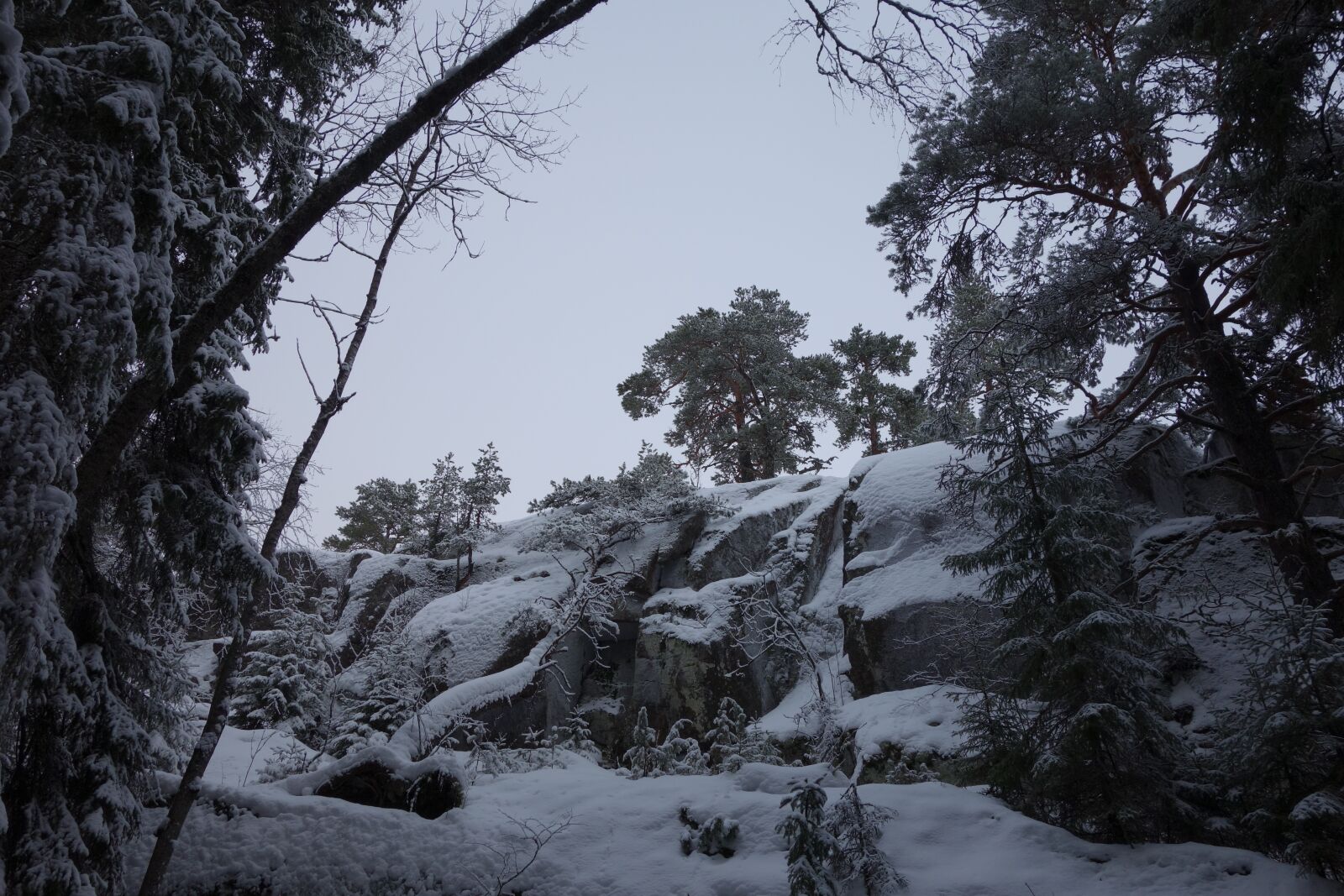 Sony Cyber-shot DSC-RX100 sample photo. Winter forest, rock, snow photography