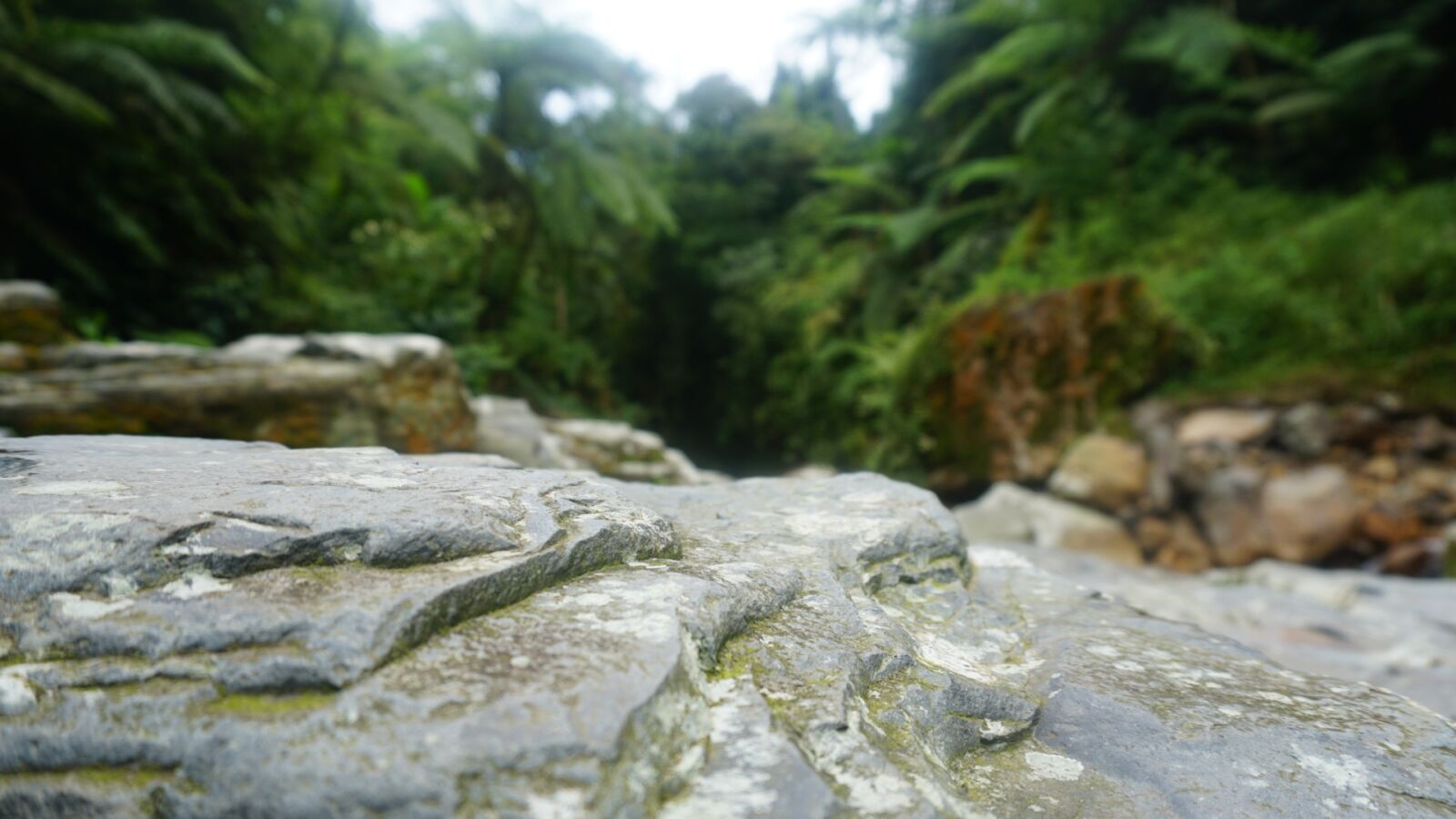 Sony a6300 sample photo. Stone, nature, bogor photography