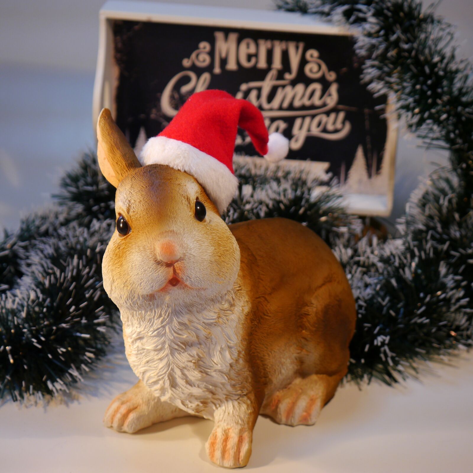 Panasonic Lumix DMC-G5 sample photo. Nicholas, christmas, hare photography