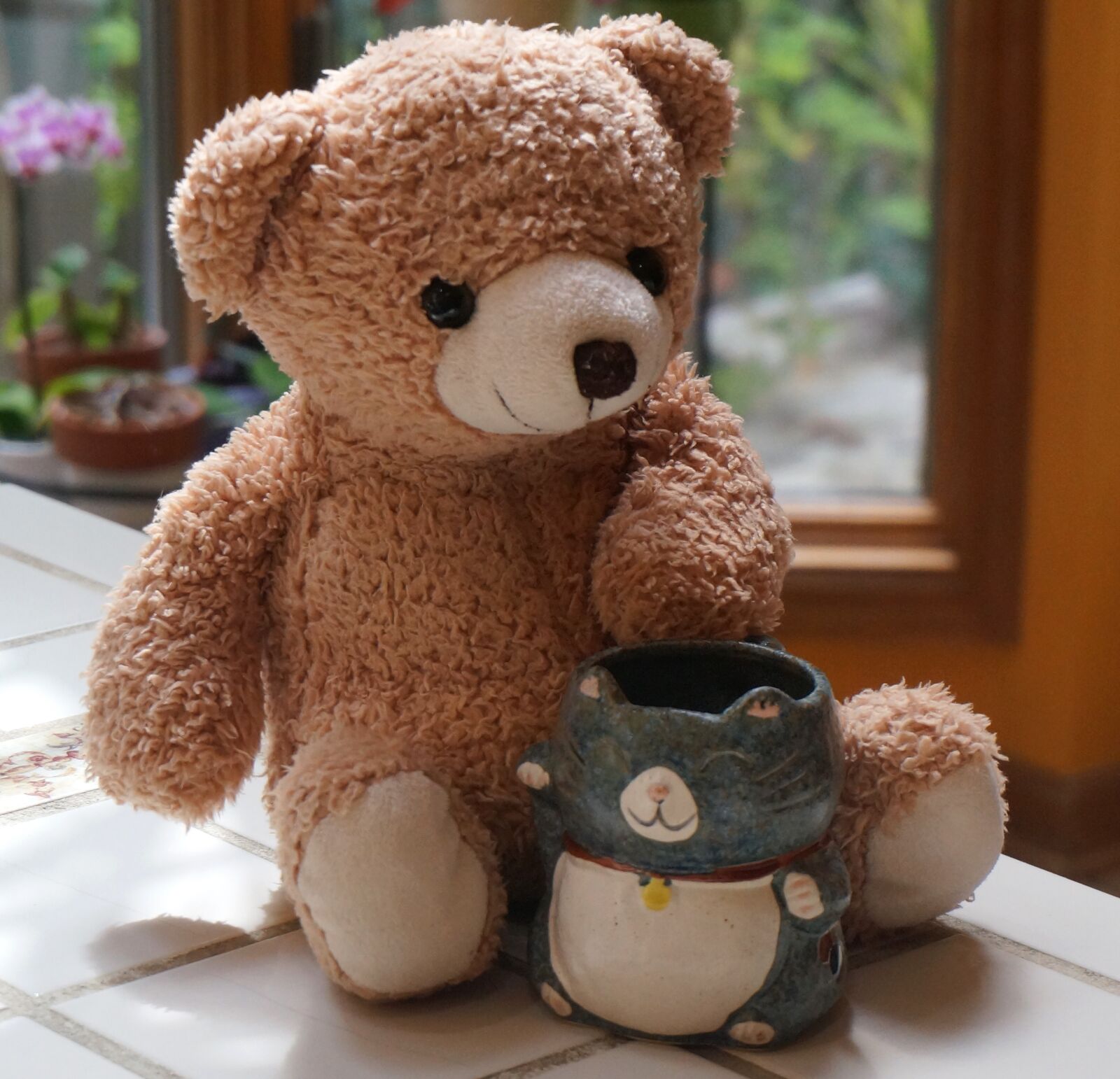 Sony Alpha NEX-5T sample photo. Old teddy bear with photography