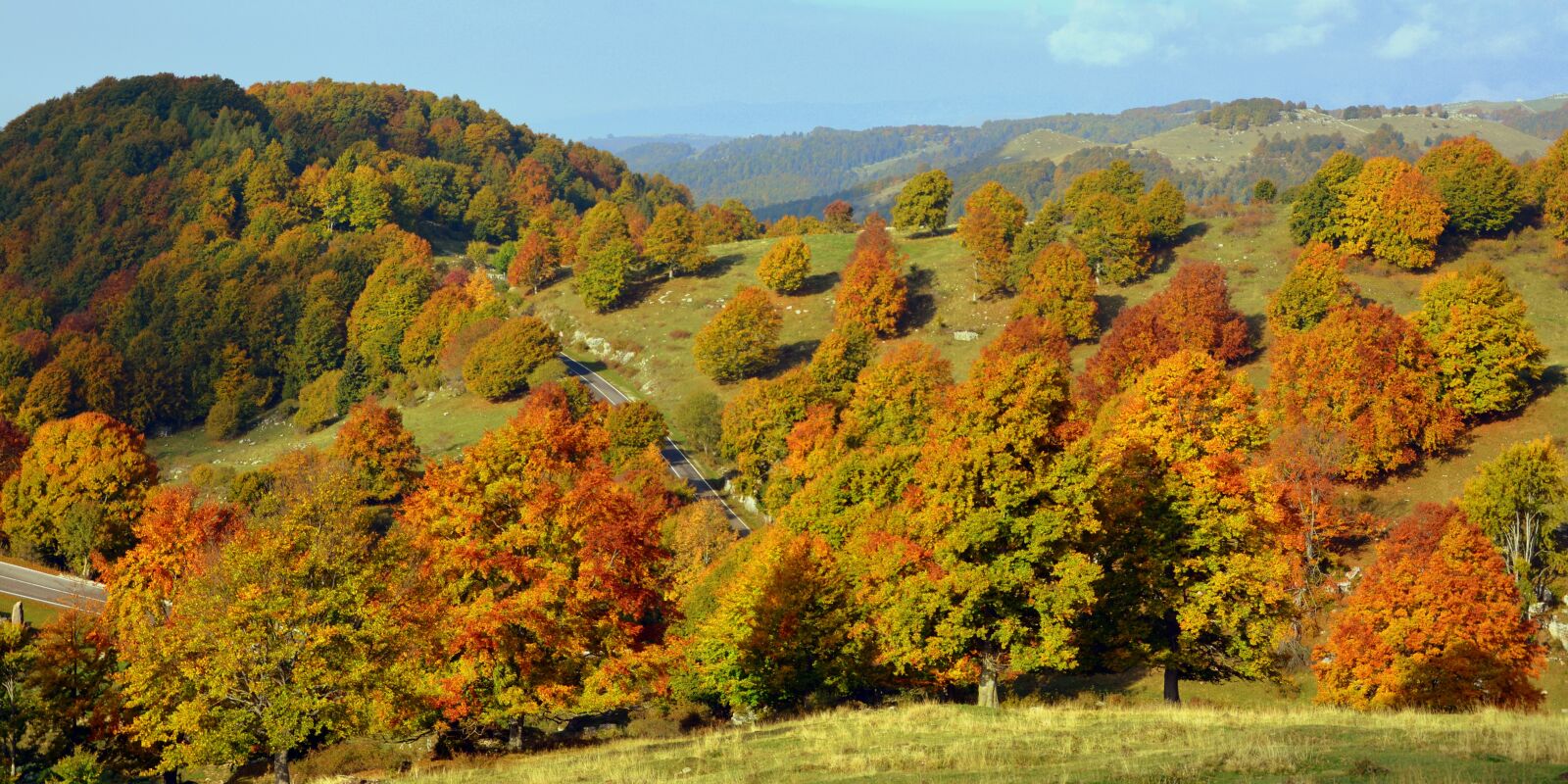 Nikon D7100 sample photo. Excursion, trees, autumn photography