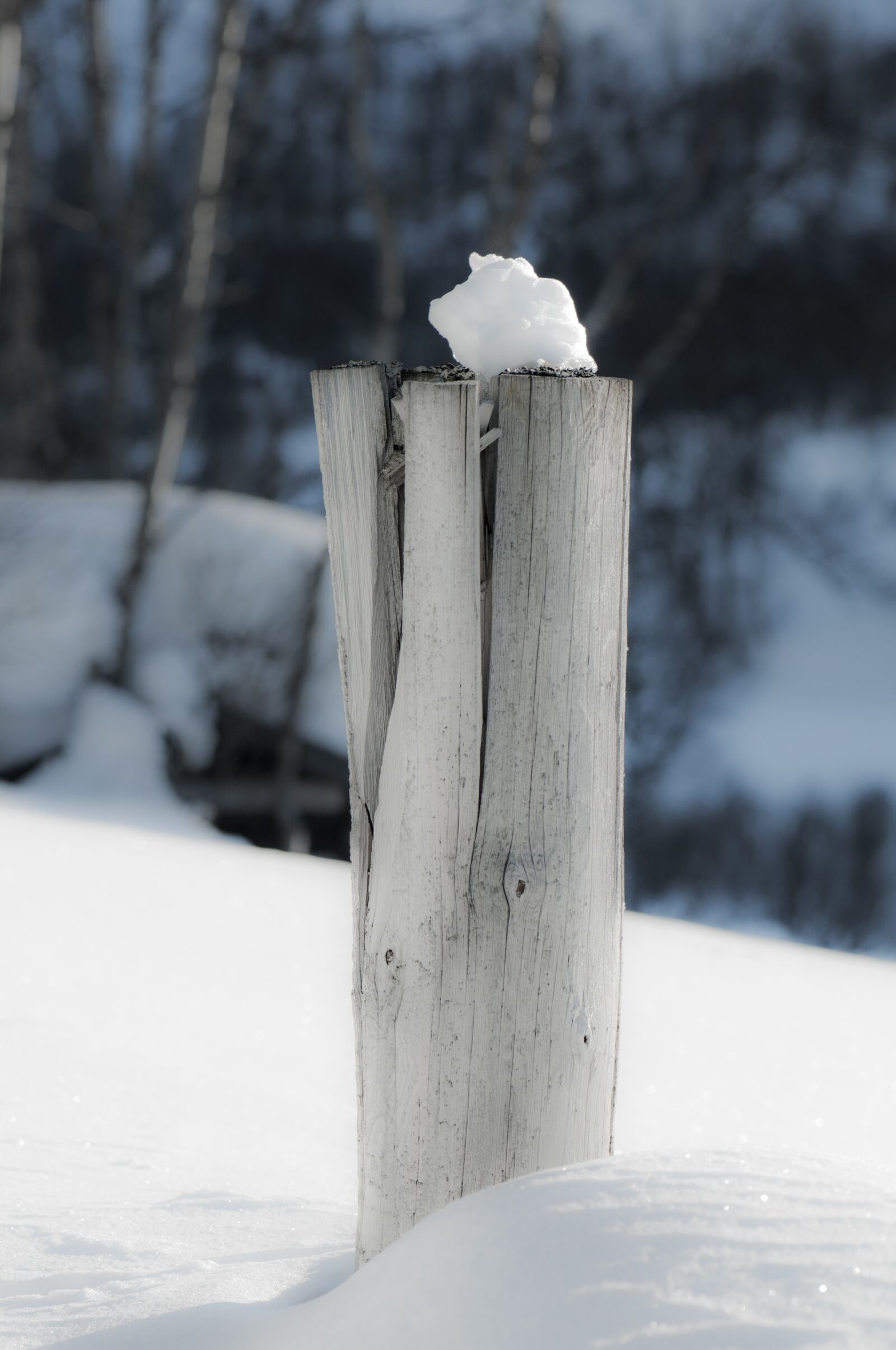 Nikon D300S sample photo. Pole, snow, winter photography