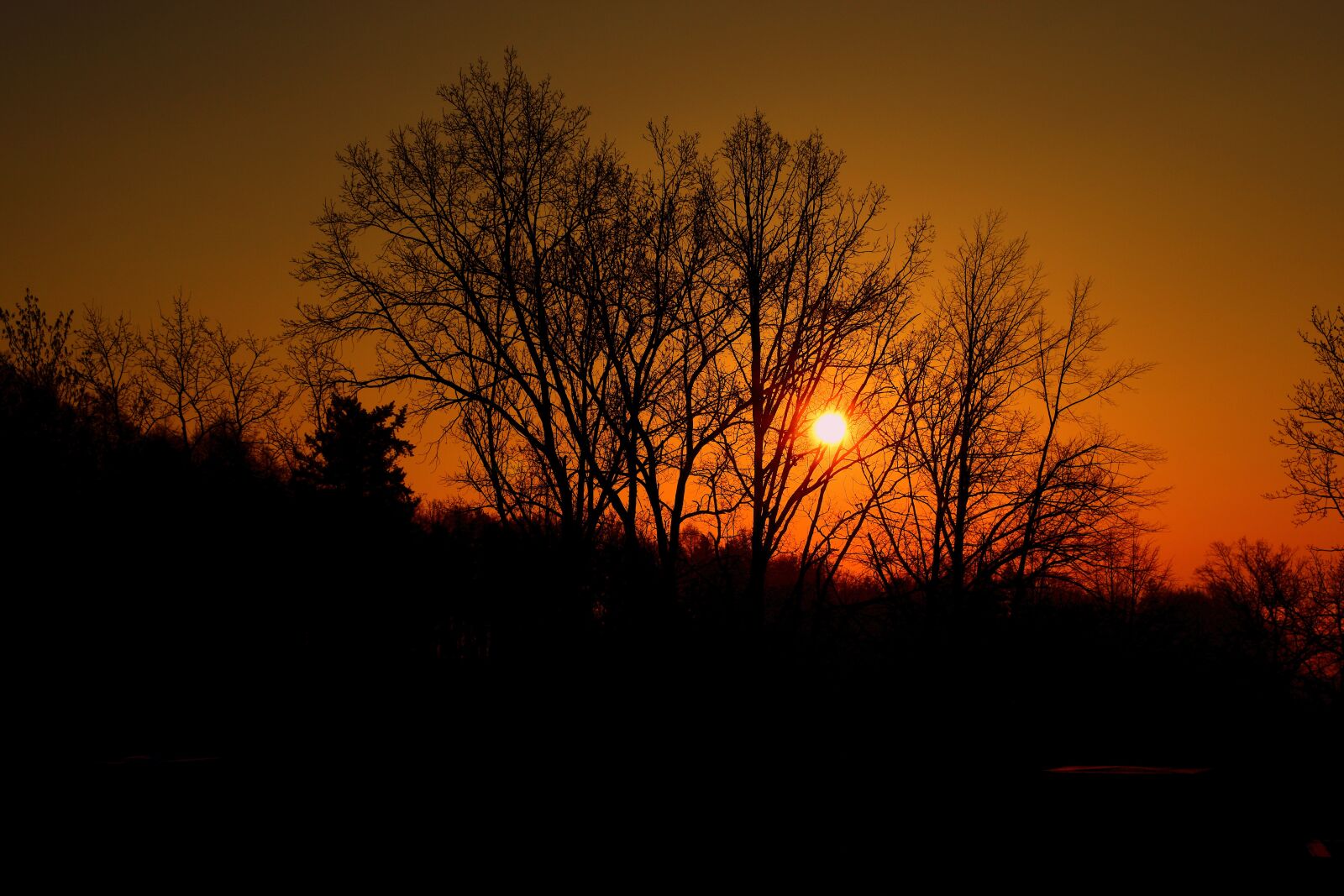 Nikon D3500 sample photo. Silhouette, sun, east photography