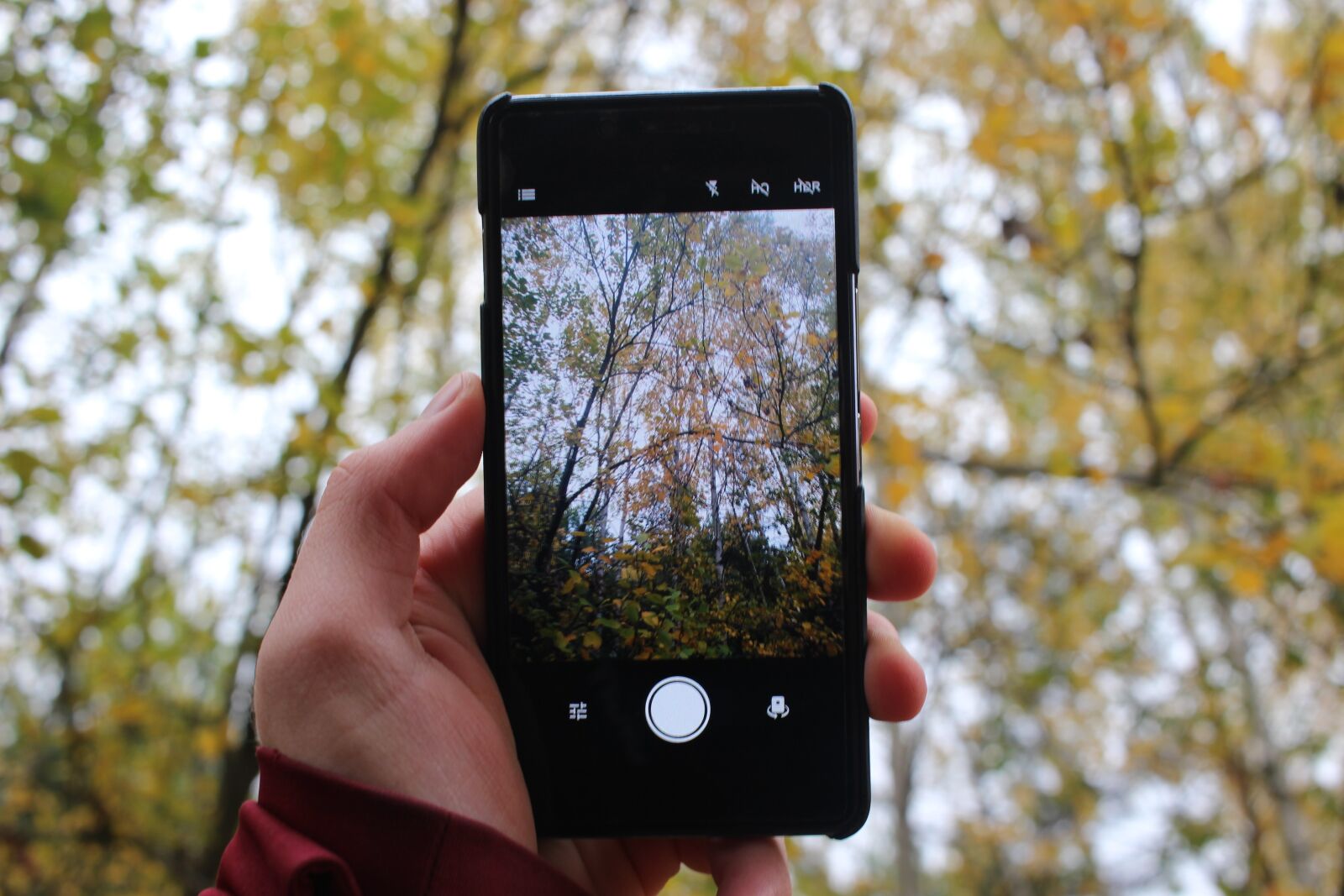 Canon EF-S 24mm F2.8 STM sample photo. Autumn, mobile phone, camera photography