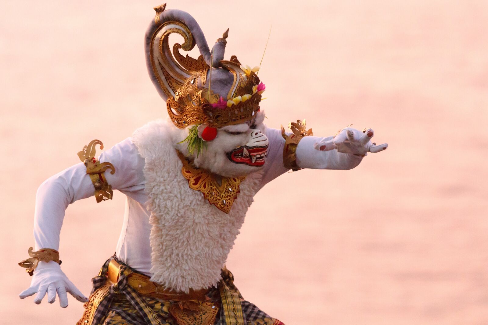 Canon EOS 7D + Canon EF 70-200mm F4L IS USM sample photo. Bali, monkey, hanuman photography