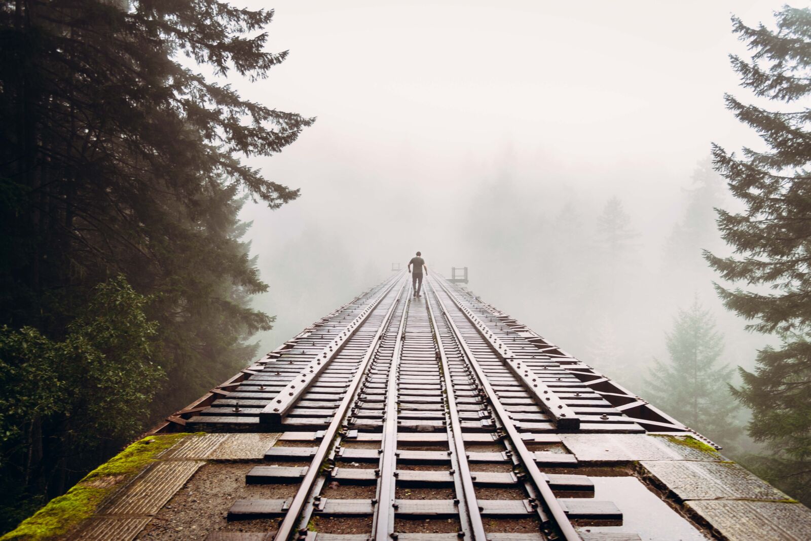 Nikon D750 sample photo. Fog, nature, man photography