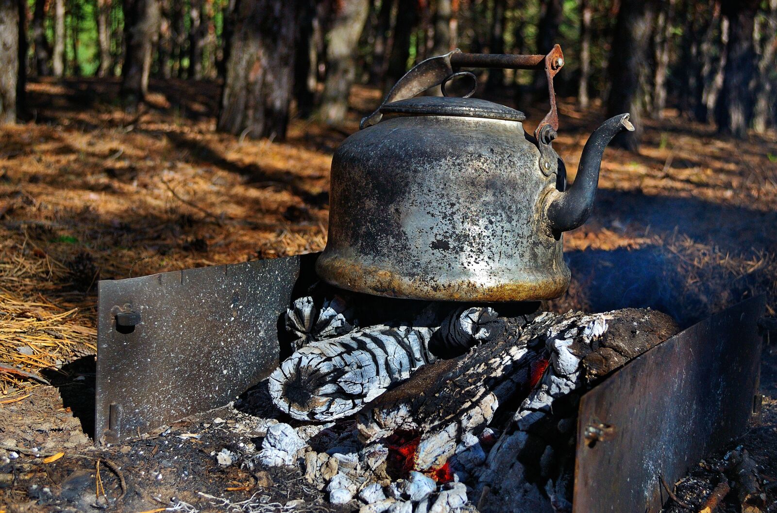 Nikon D3100 sample photo. Maker, picnic, tea photography