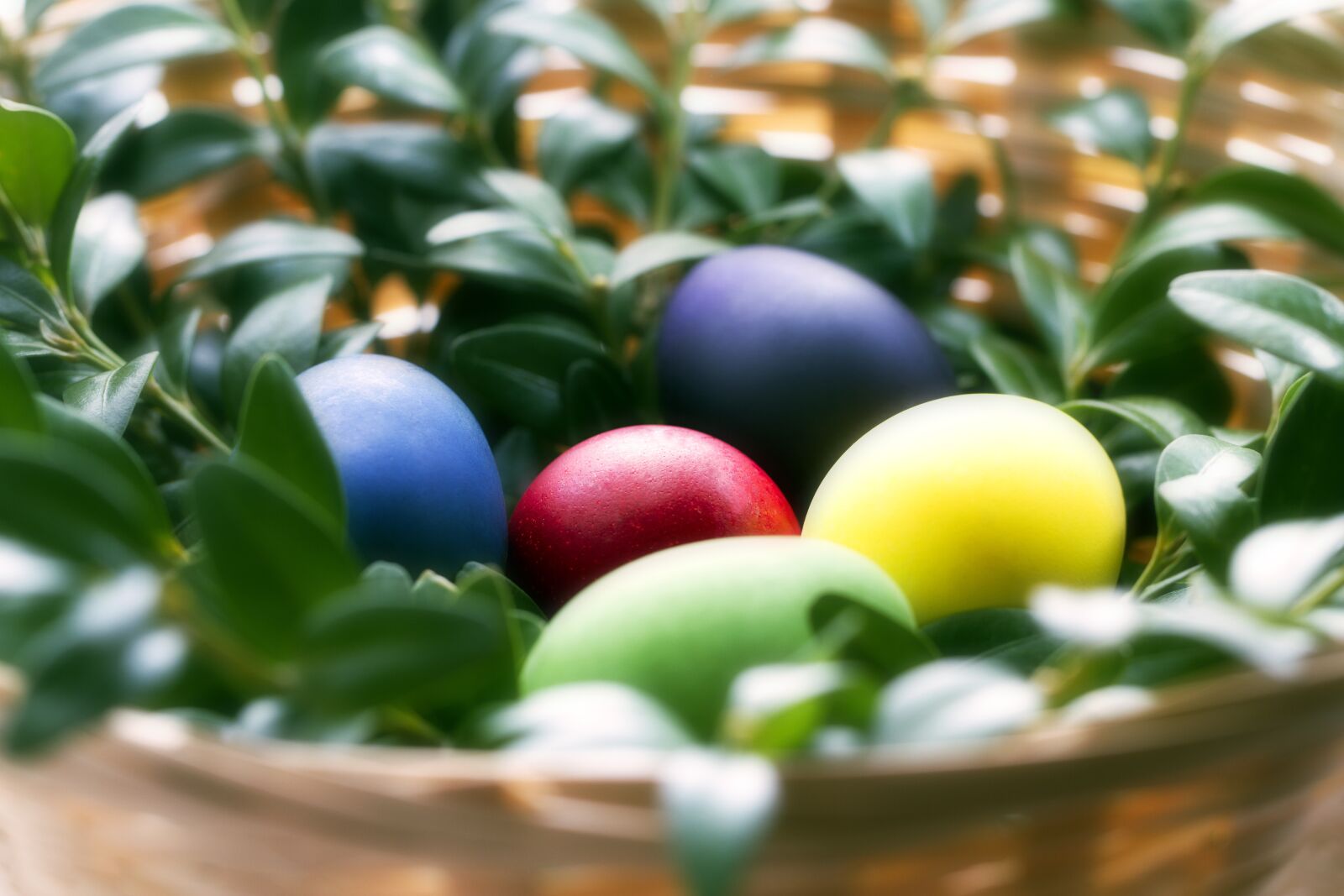 Canon EF 100mm F2.8L Macro IS USM sample photo. Easter, eggs, multi colored photography