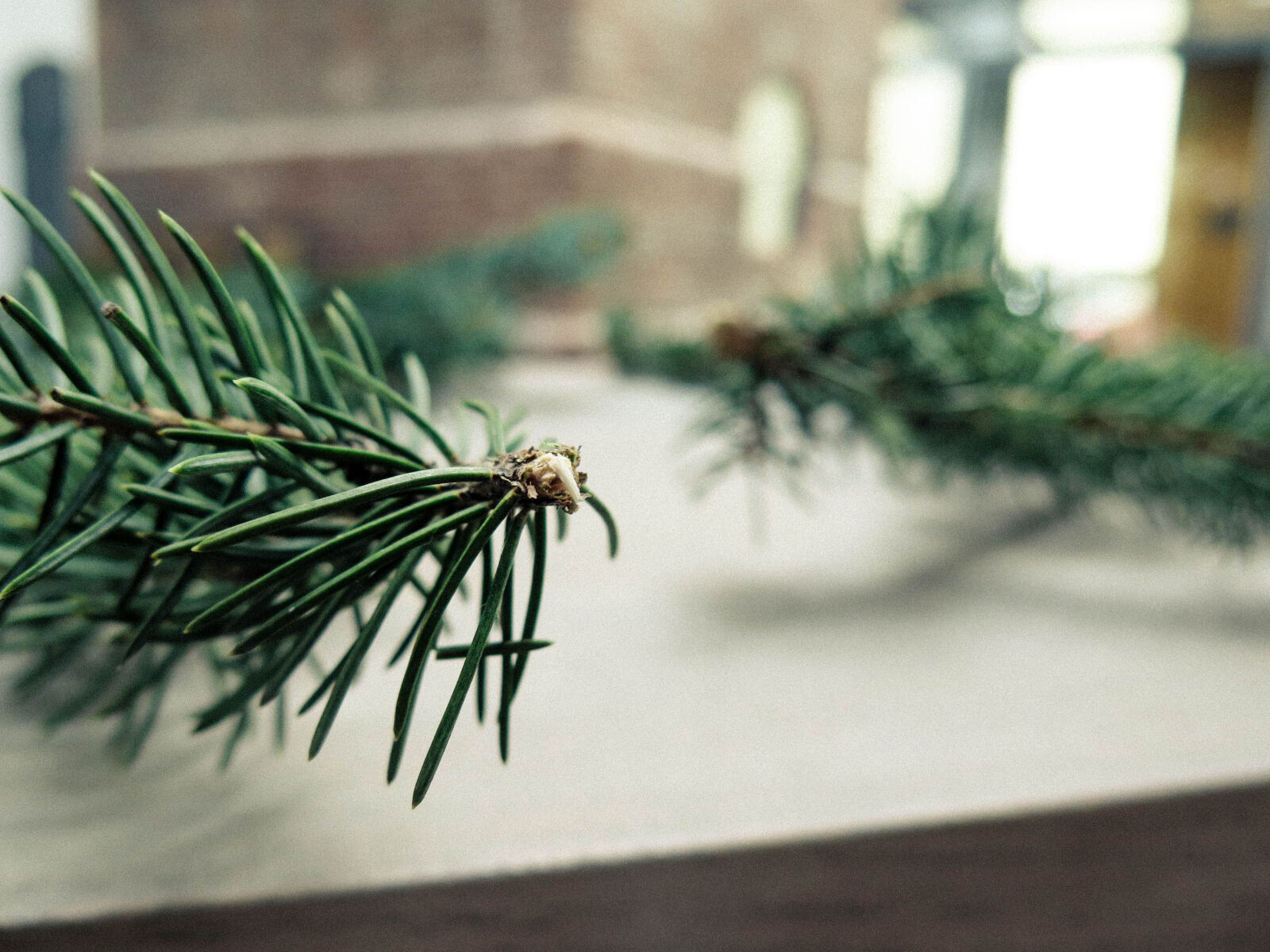 Canon PowerShot G16 sample photo. Branch, christmas, conifer, green photography