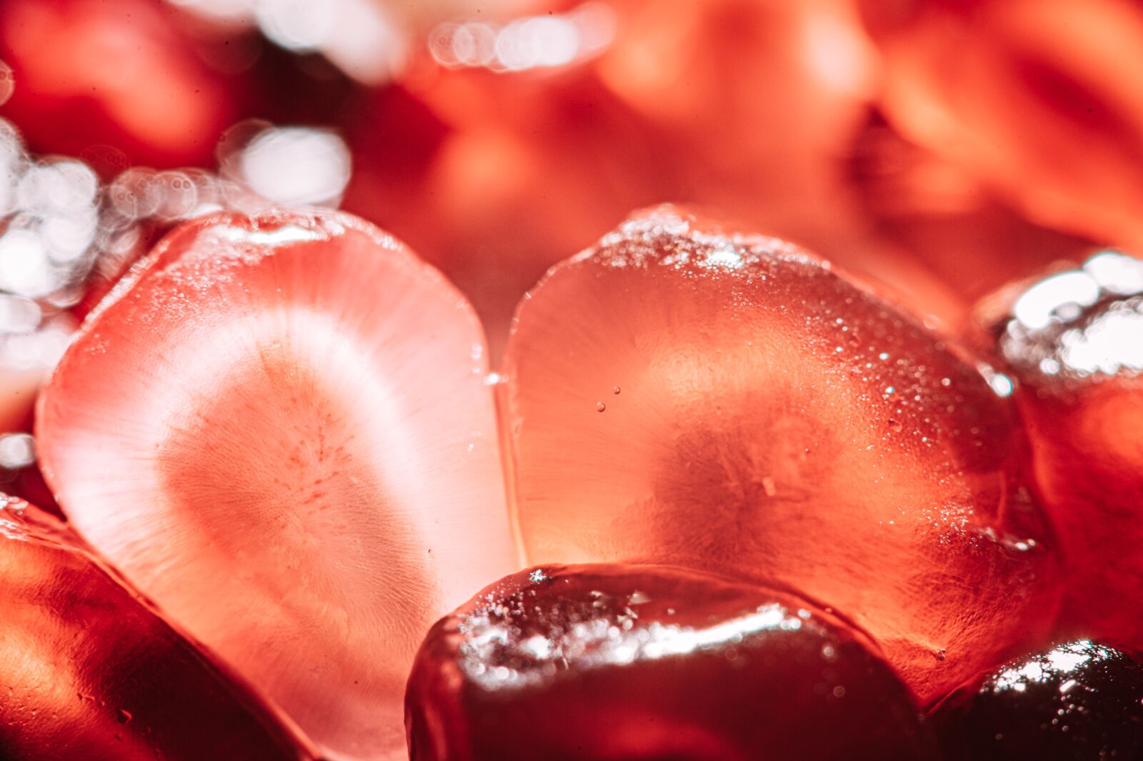 Nikon D4S sample photo. Pomegranates, affixes, red photography