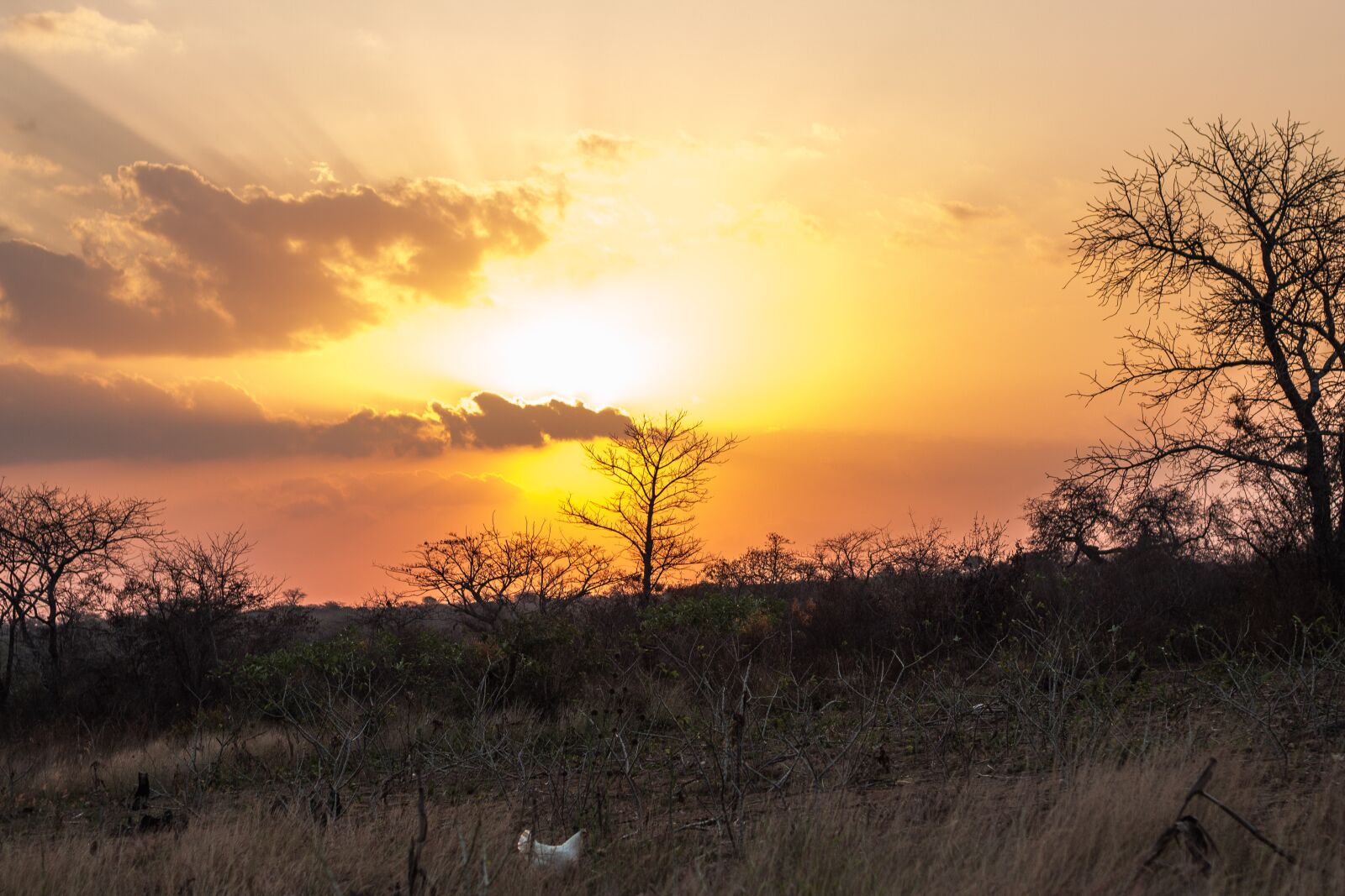 Canon EF 50mm F1.8 II sample photo. Sunset, cloud, travel photography